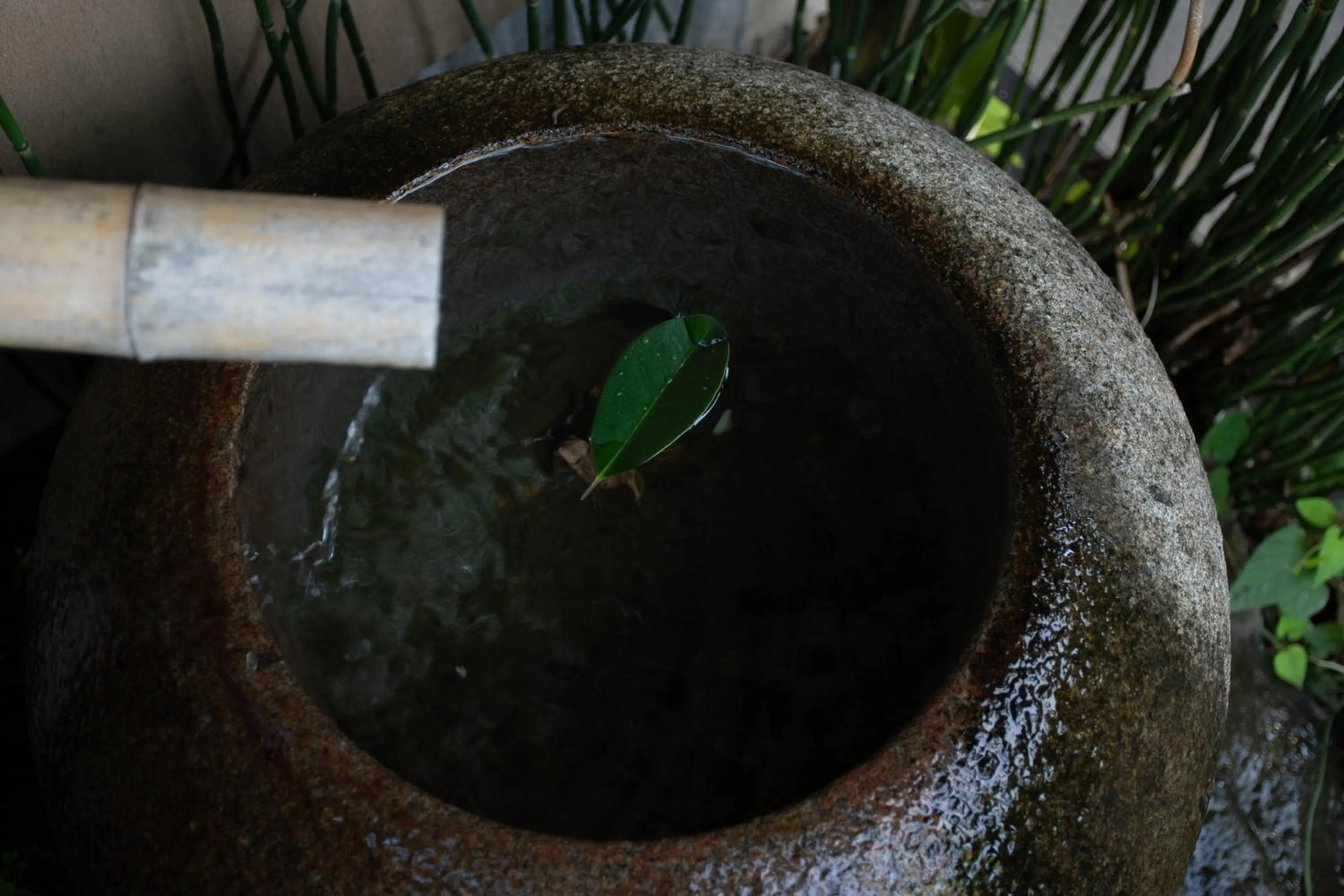 Area and facilities in Hanare Yado Yosizumi