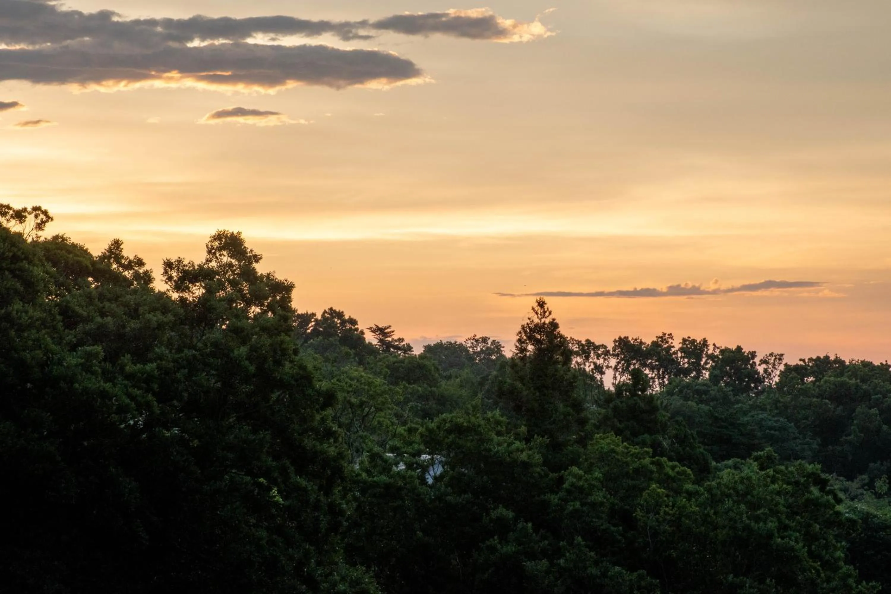 Natural landscape in Hanare Yado Yosizumi
