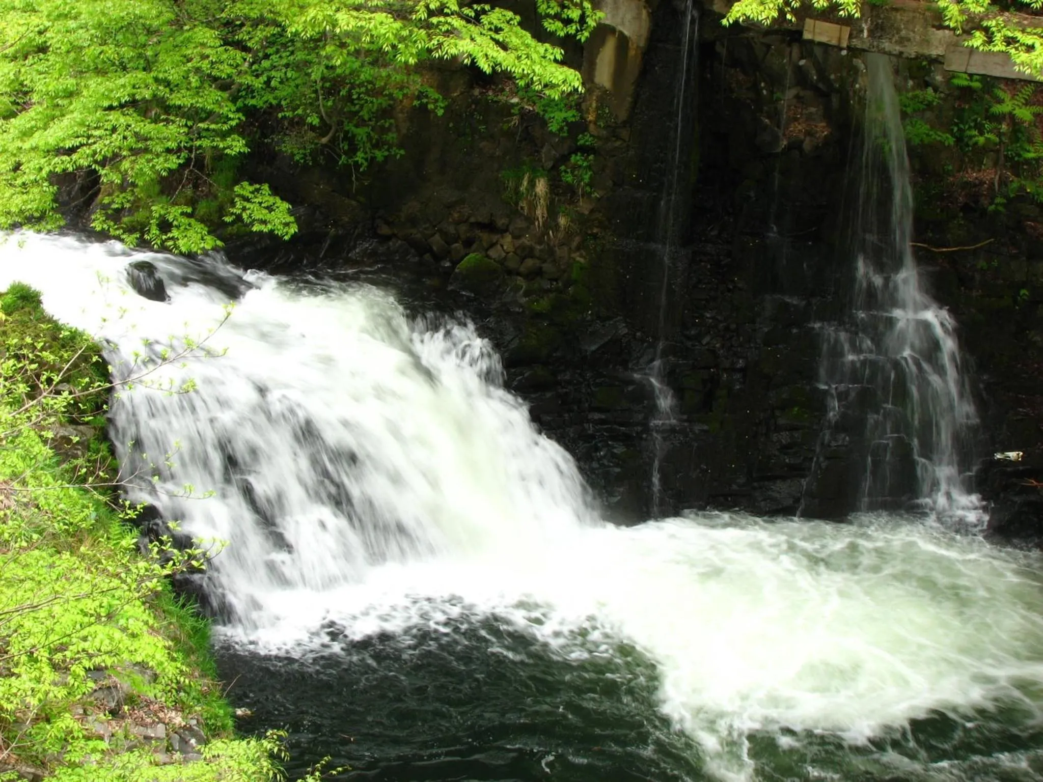 Area and facilities in Harataki