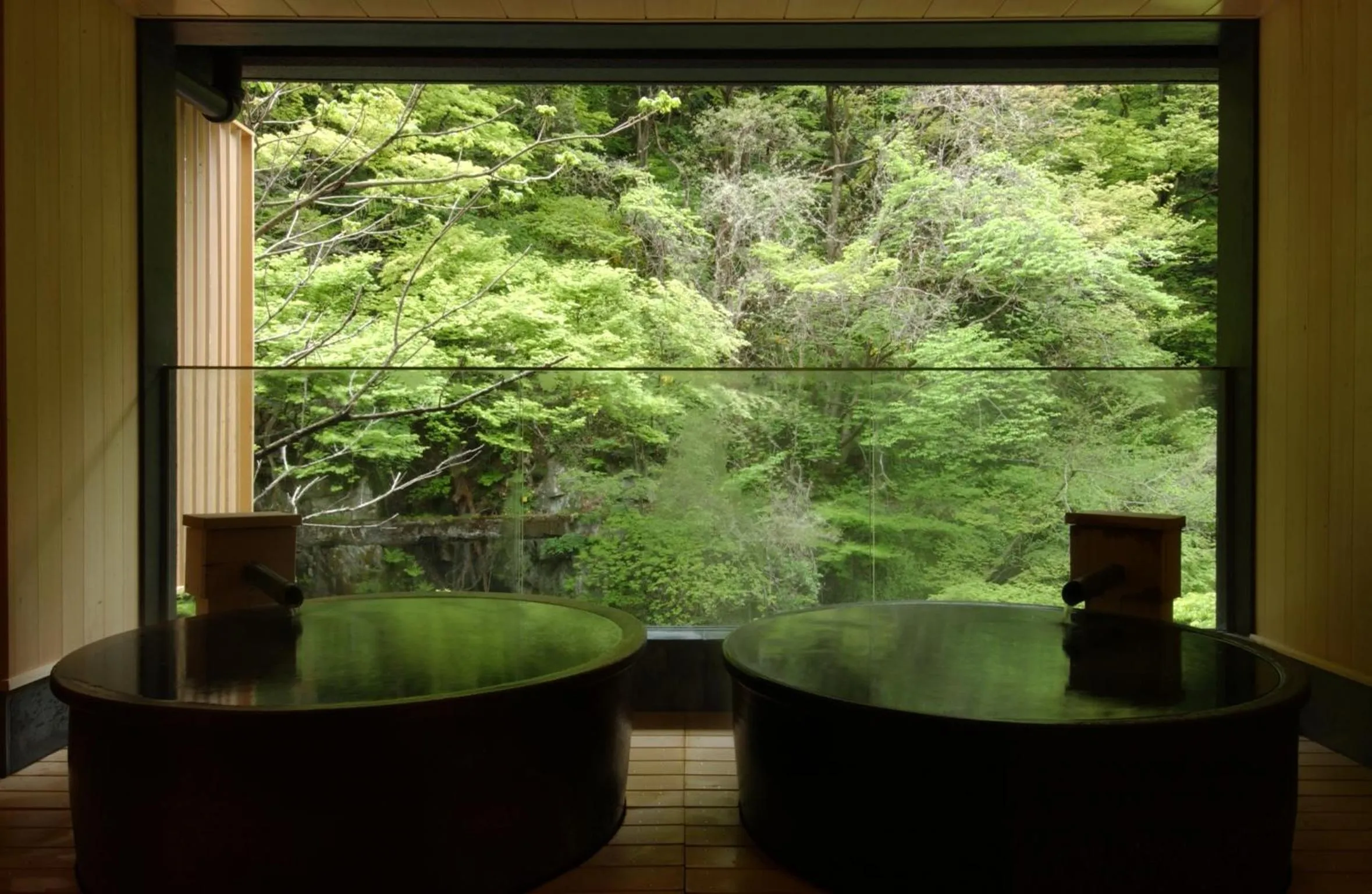 Hot Spring Bath in Harataki