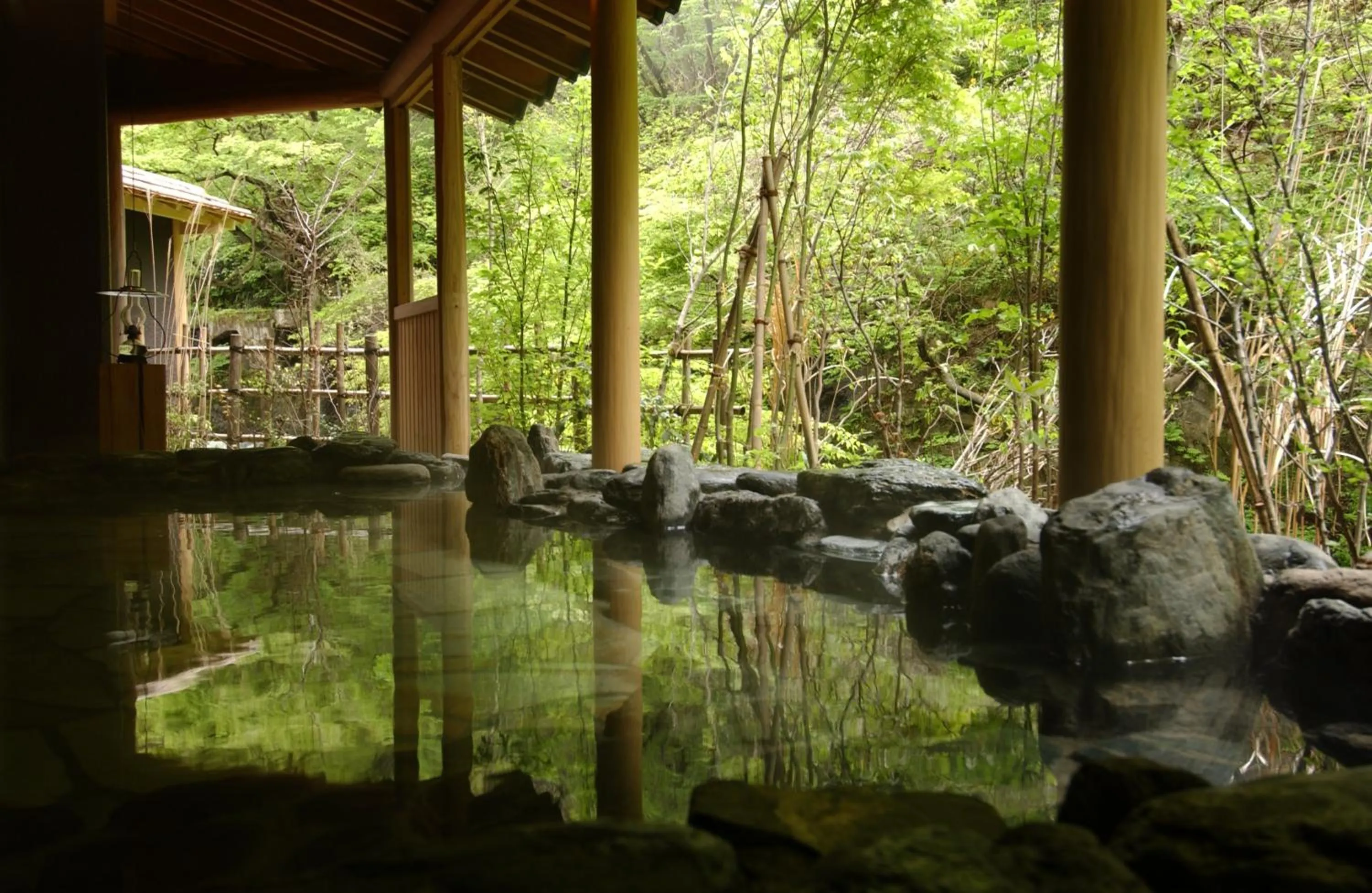 Hot Spring Bath in Harataki