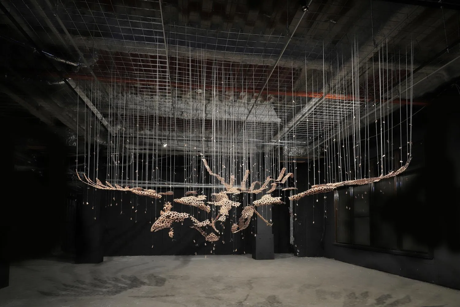 Area and facilities in Shin Toji Hotel Lulud