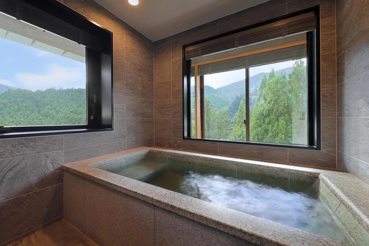 Hot Spring Bath in Shin Toji Hotel Lulud