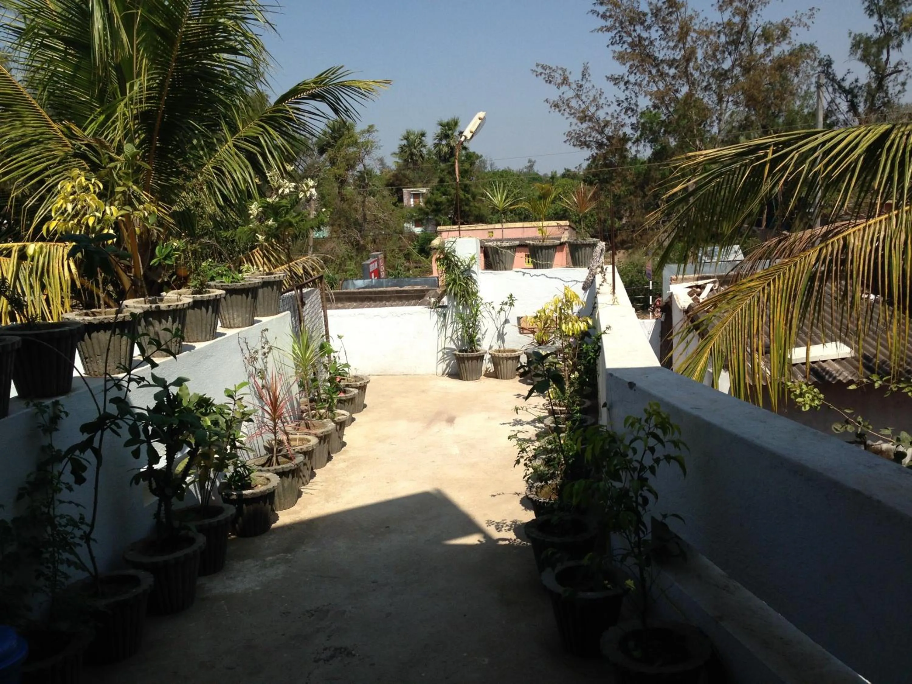 Garden in Surya Inn