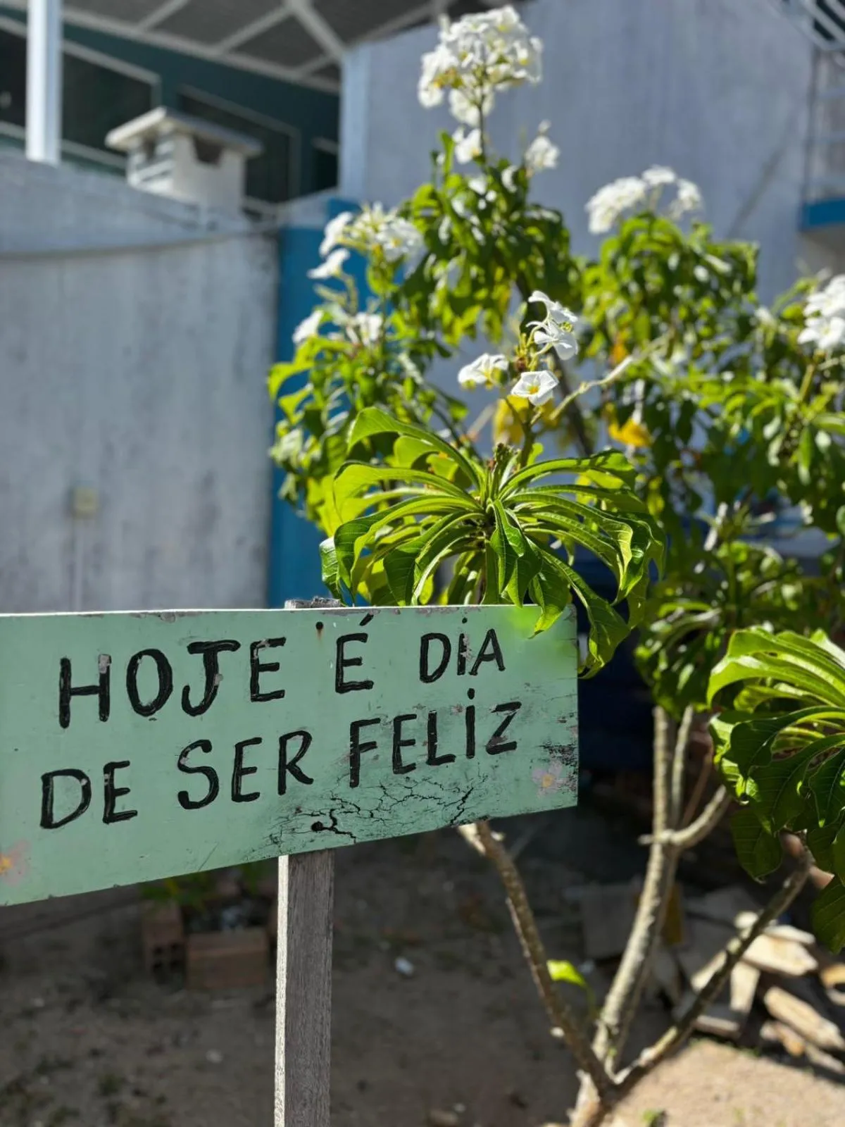 Garden view in Dellas Pousada