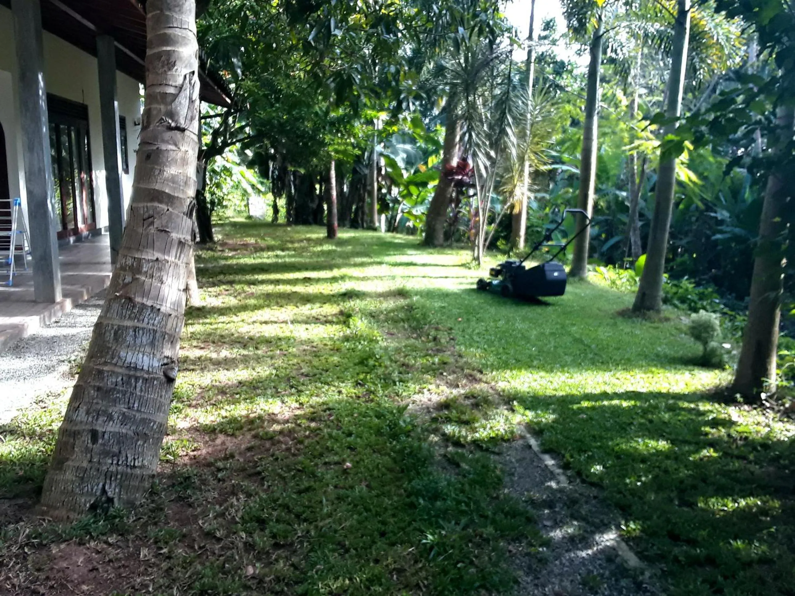 Garden in Sky Residence Hikkaduwa