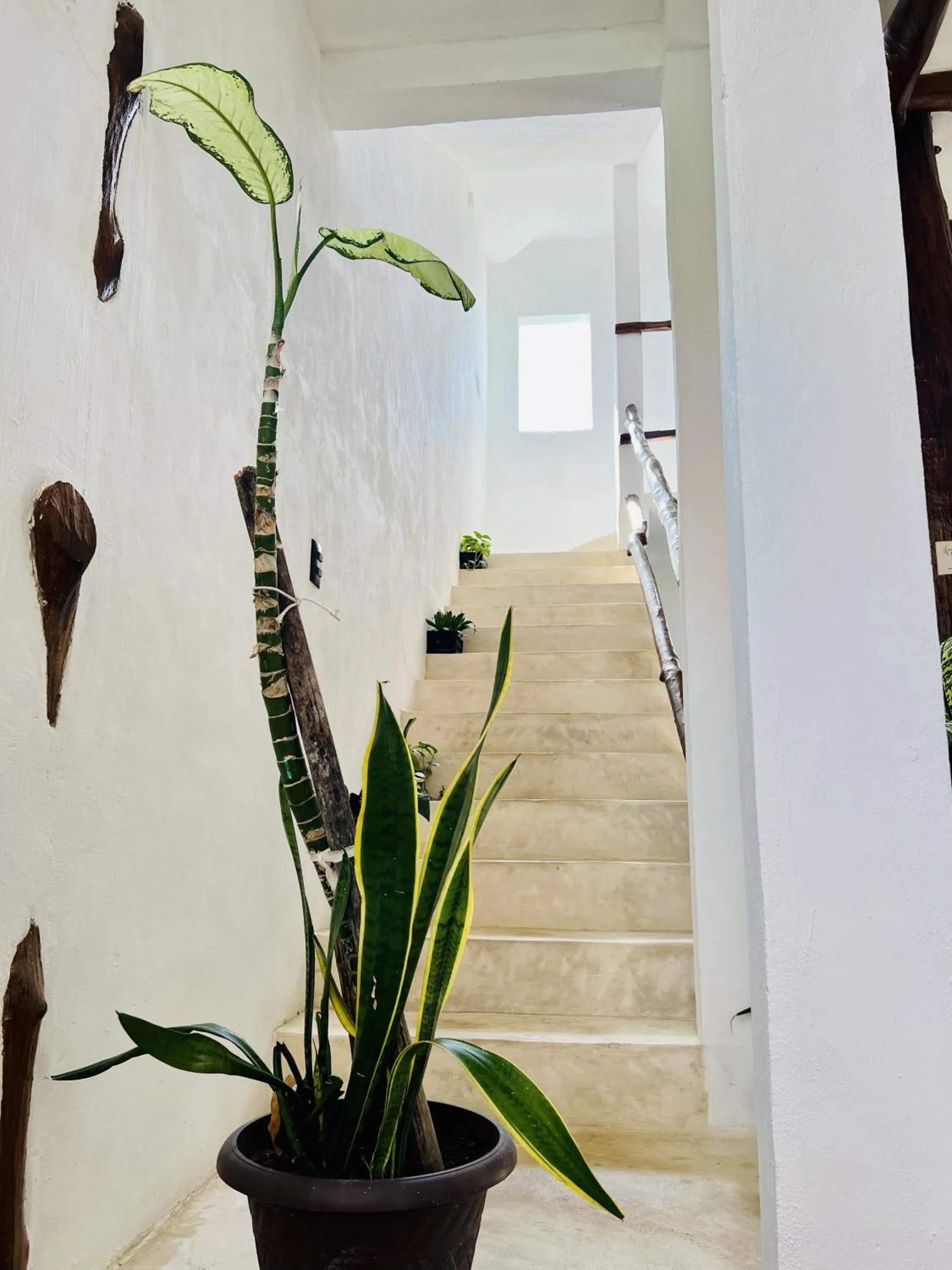 Property building in Casa Tekio Holbox By Kin Studios