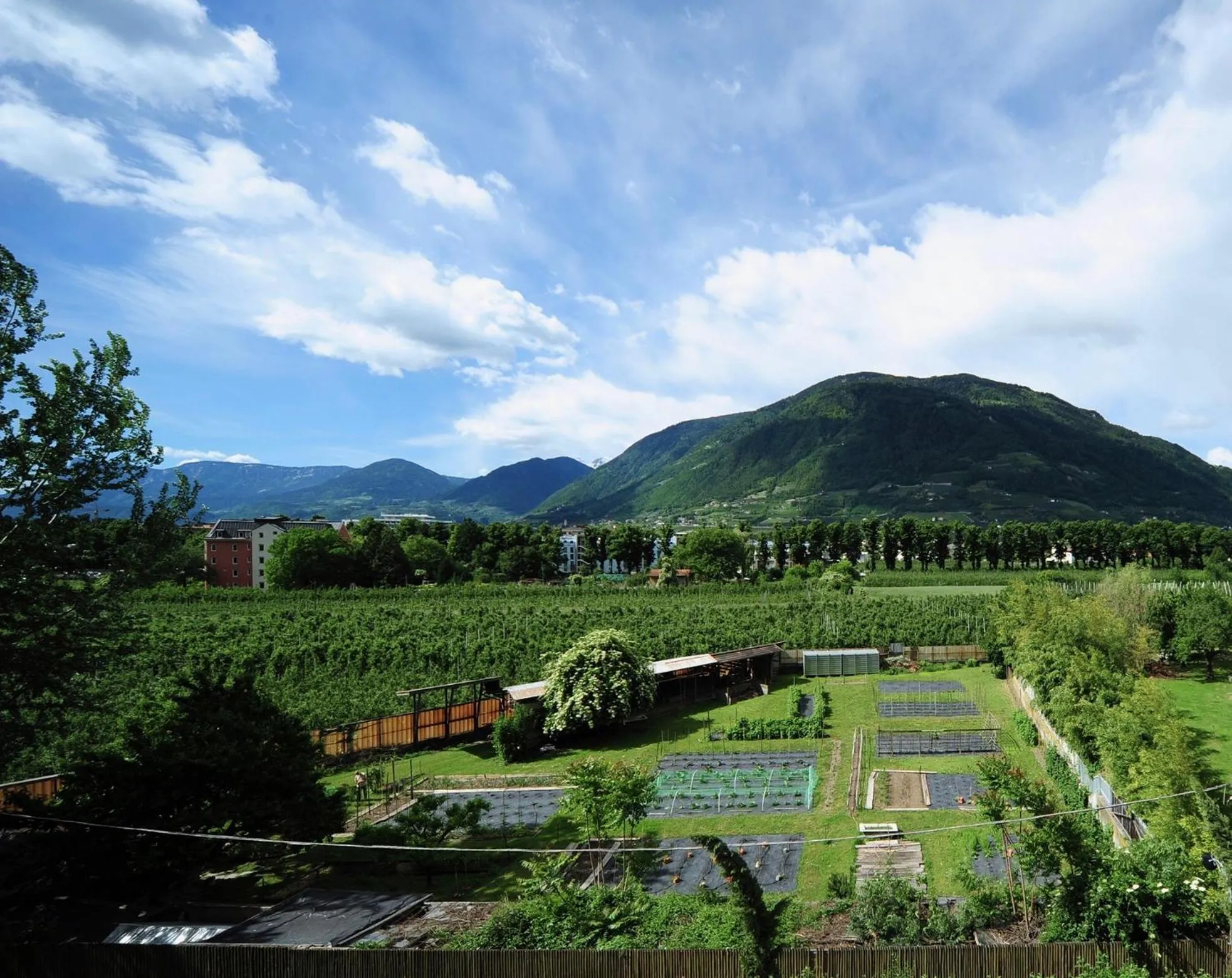 Natural landscape in Villa Tivoli