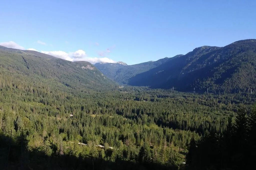 Hot Tub Cool Views: Roaring Creek Cabin