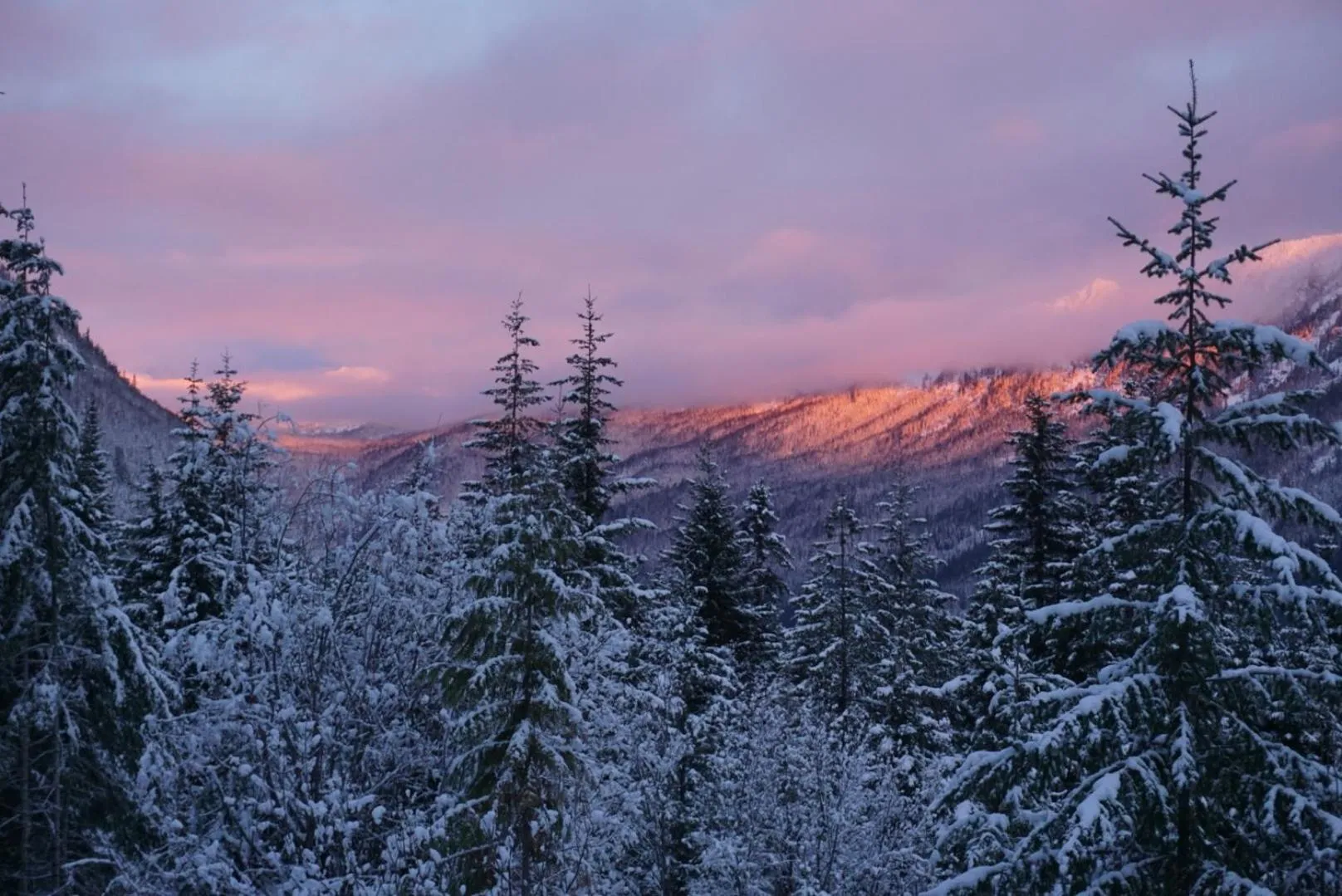 View (from property/room) in Hot Tub Cool Views: Roaring Creek Cabin