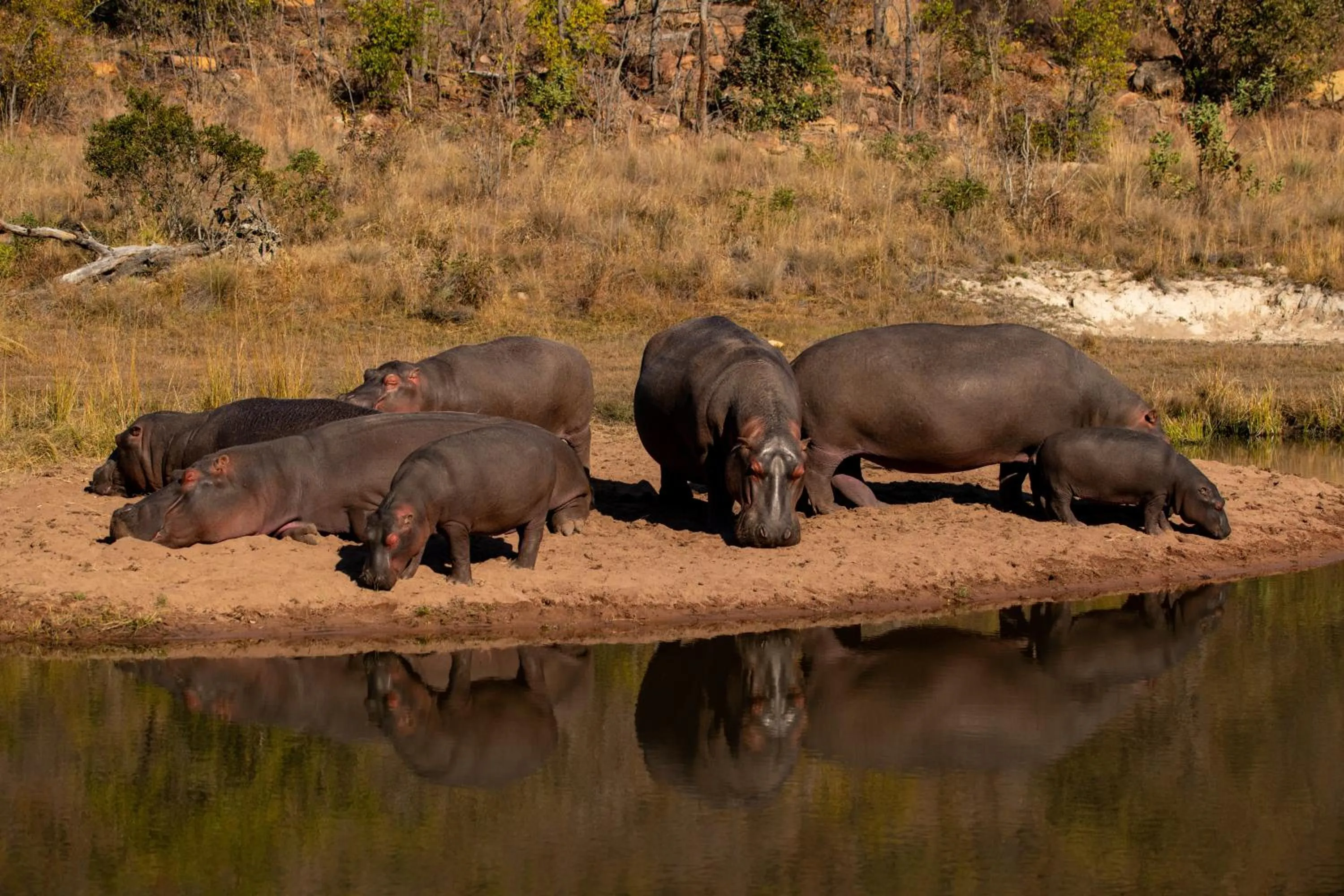 Natural landscape in Elephants Crossing