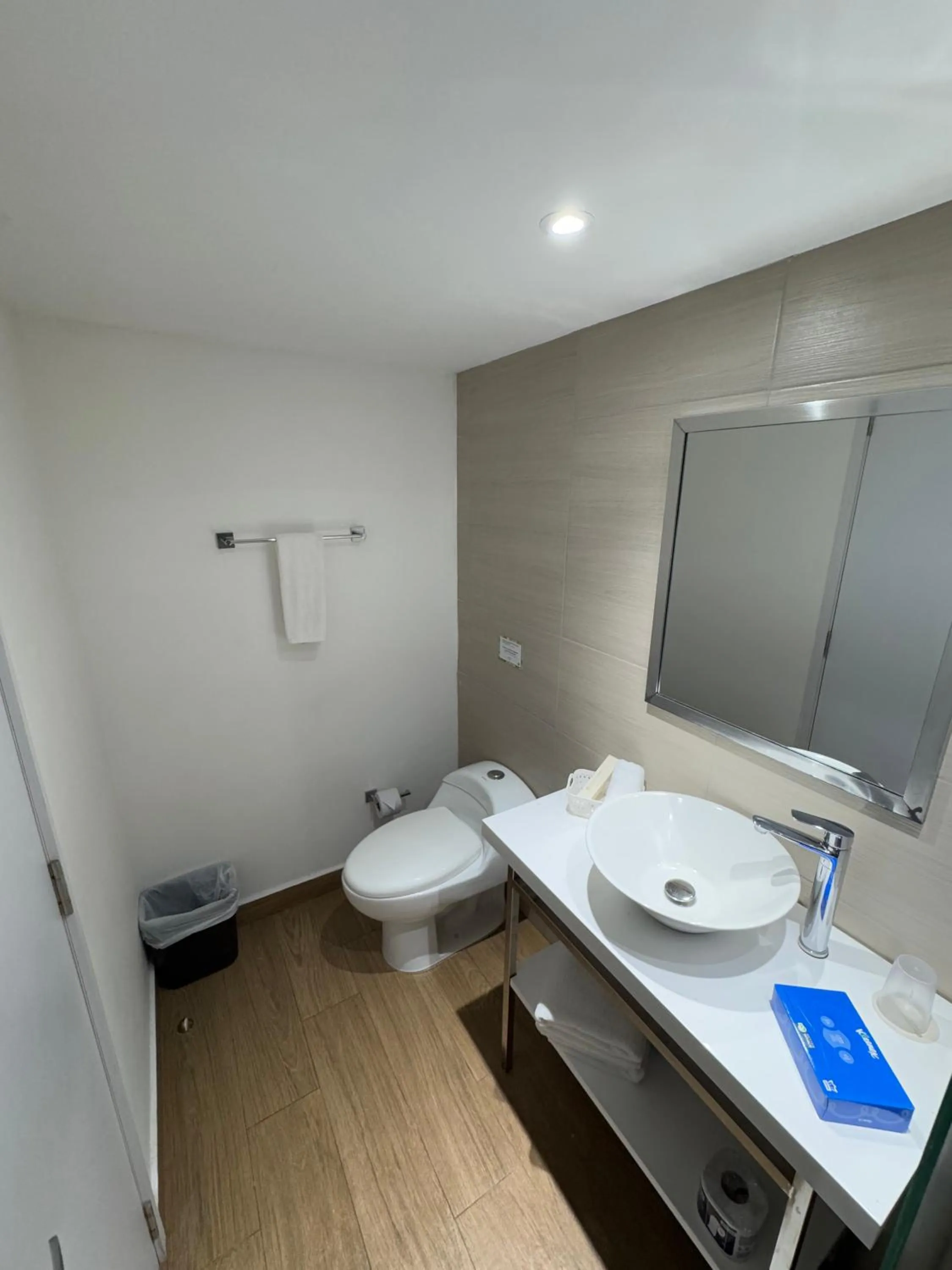 Toilet in Wyndham Garden Cartagena