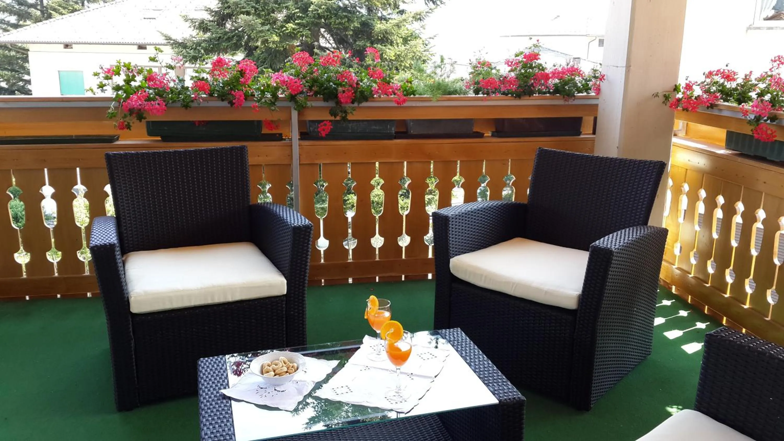 Balcony/Terrace in Hotel Dolomiti