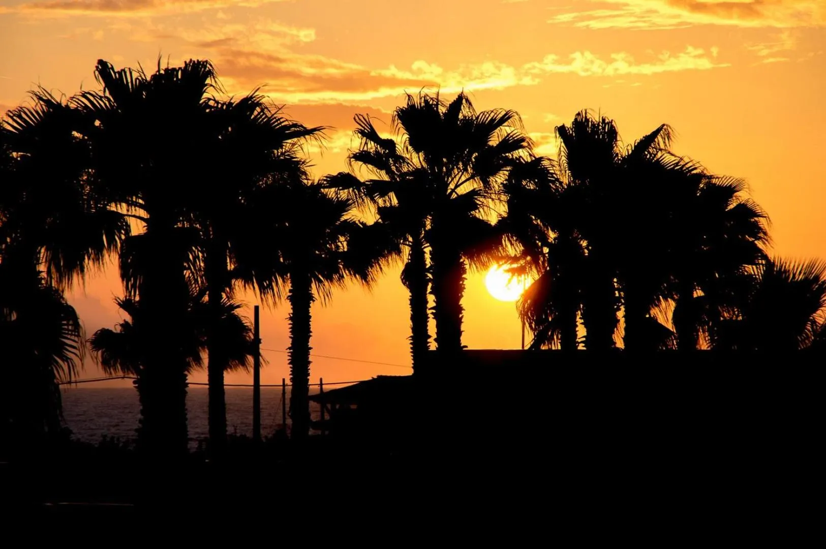 Sunset in cupido park