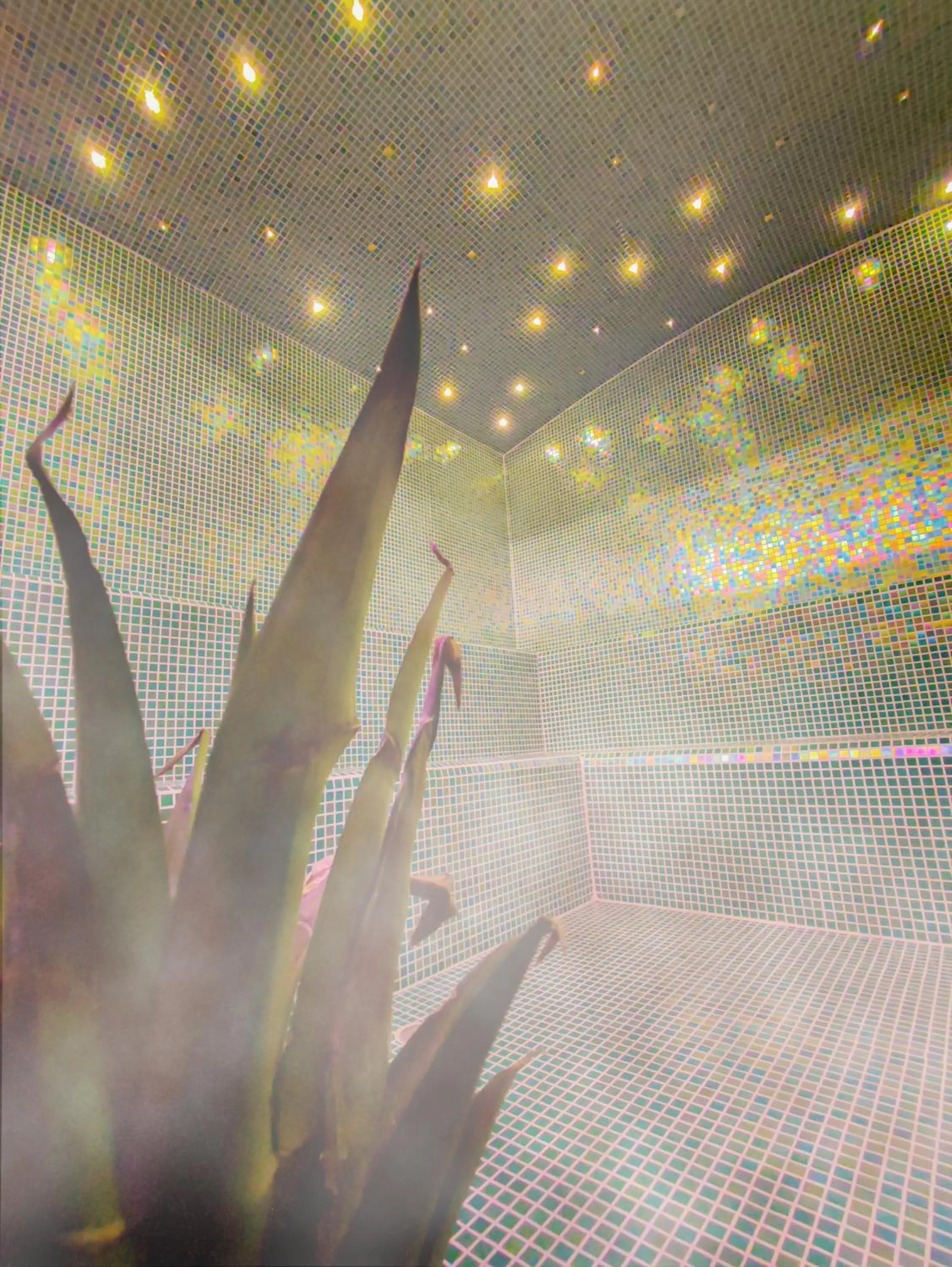 Steam room in Hotel V1501