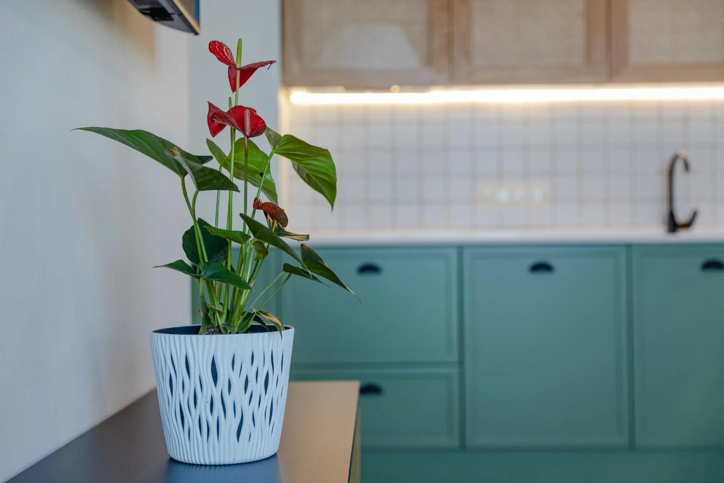 kitchen in MiraMar Luxury Residences