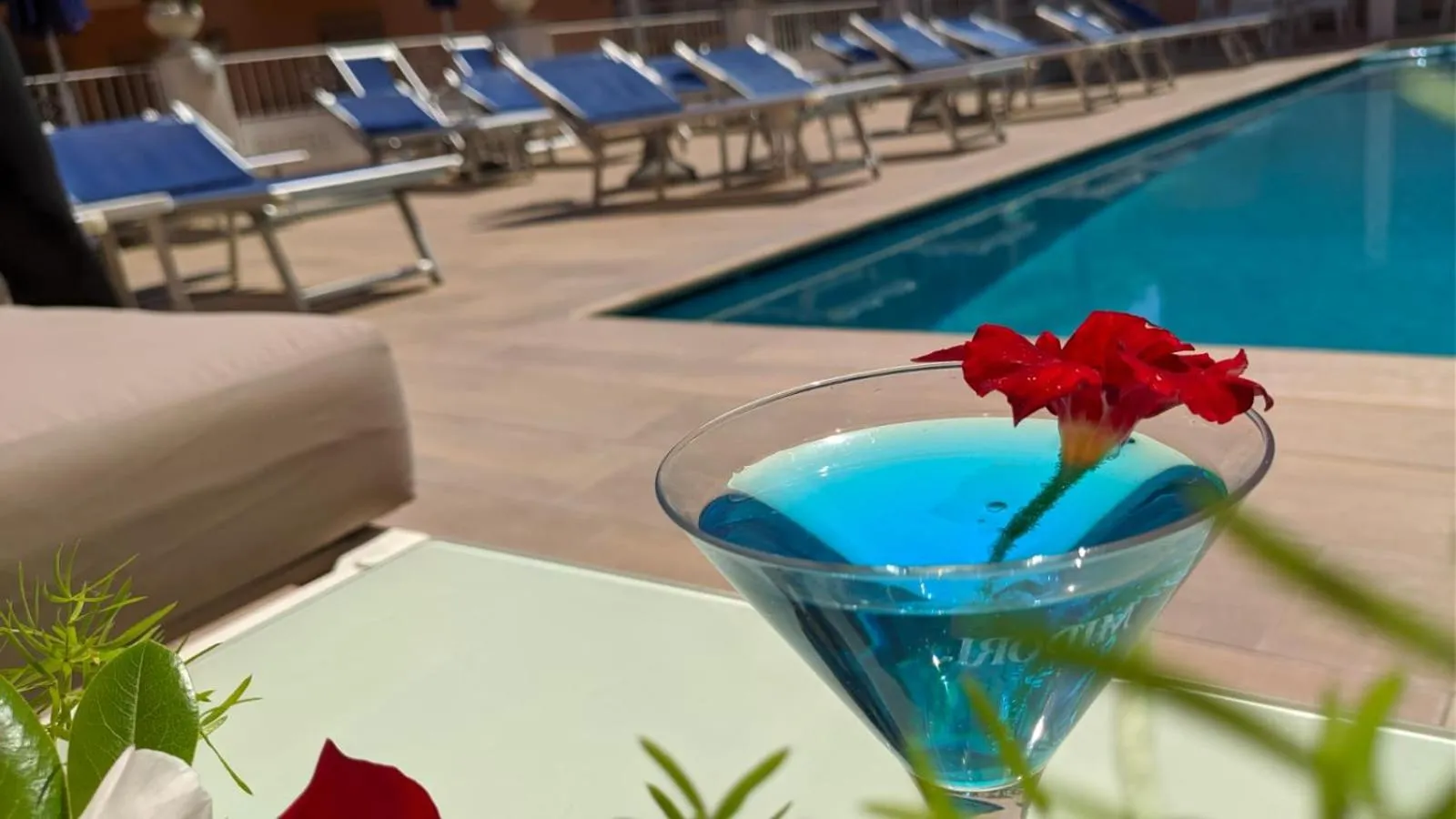 Swimming pool in Hotel Villa Maria