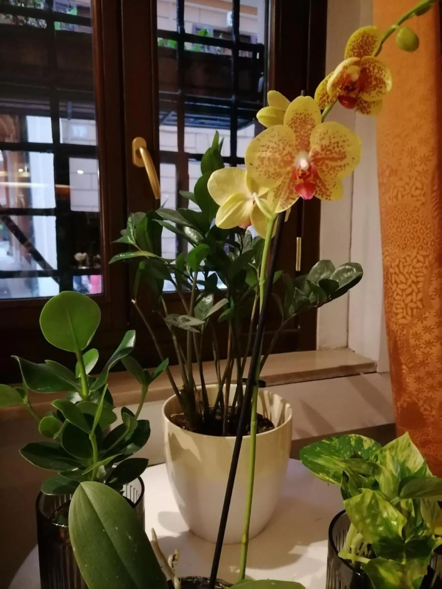 Communal lounge/ TV room in Hotel Julia