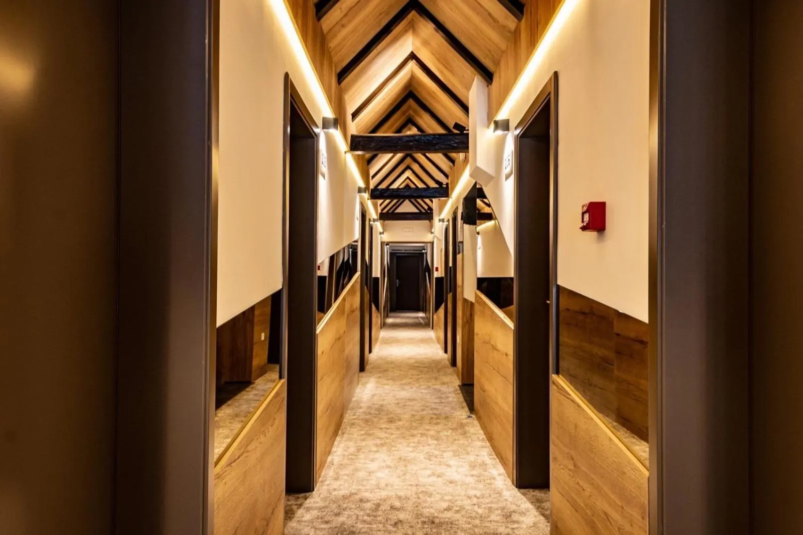 Property building in Hotel Forest