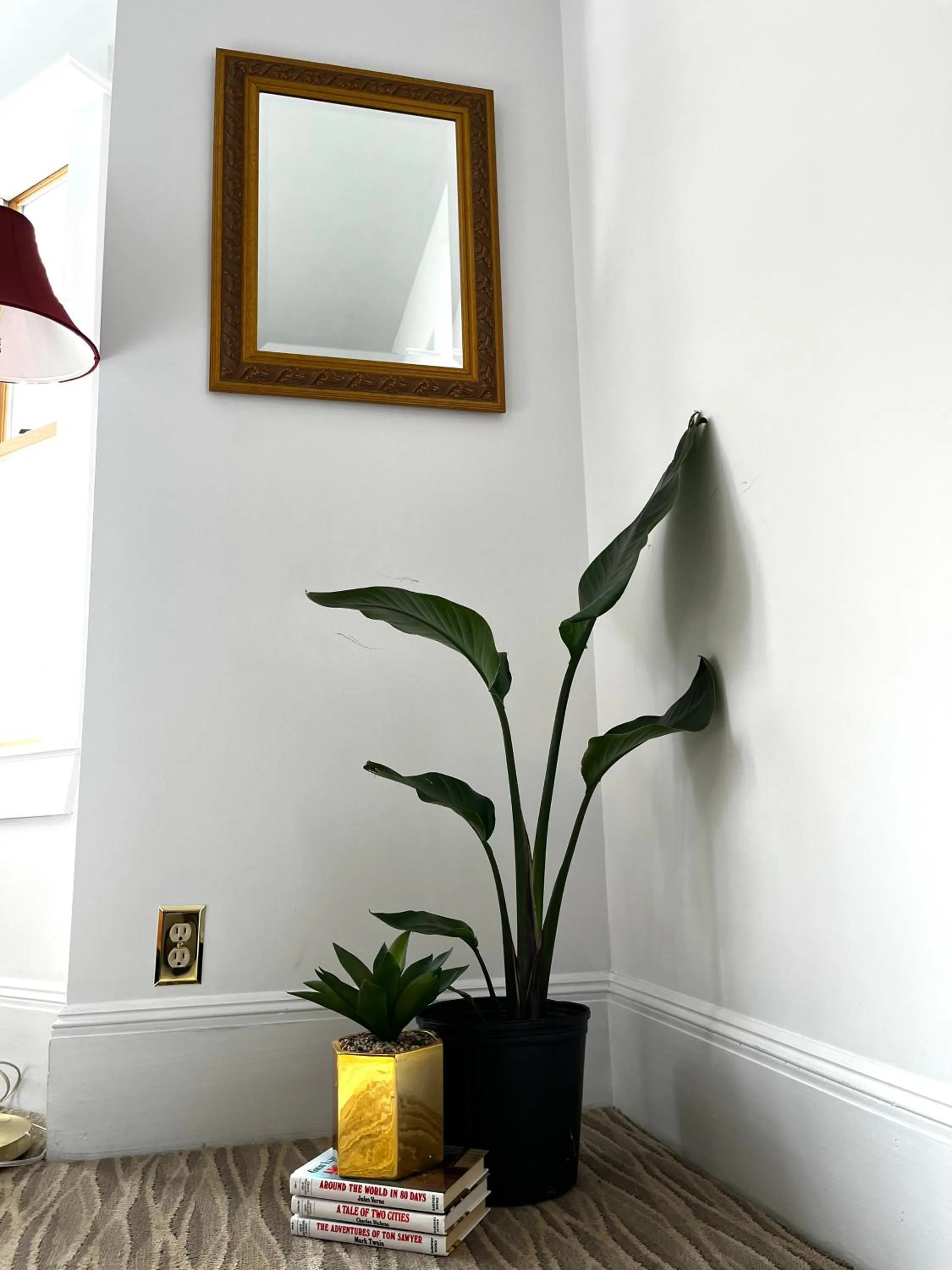 Queen Anne's Revenge