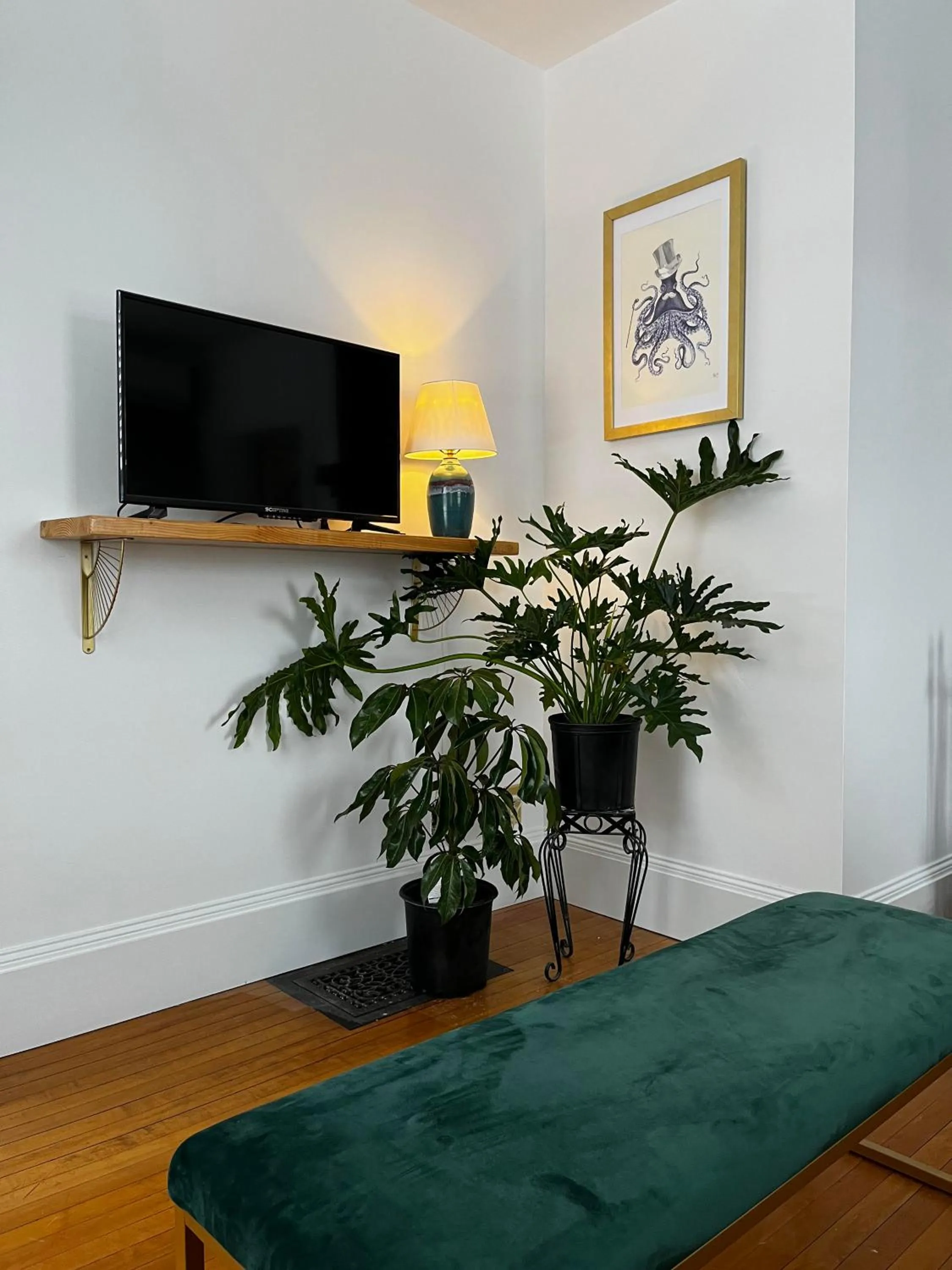 Queen Anne's Revenge