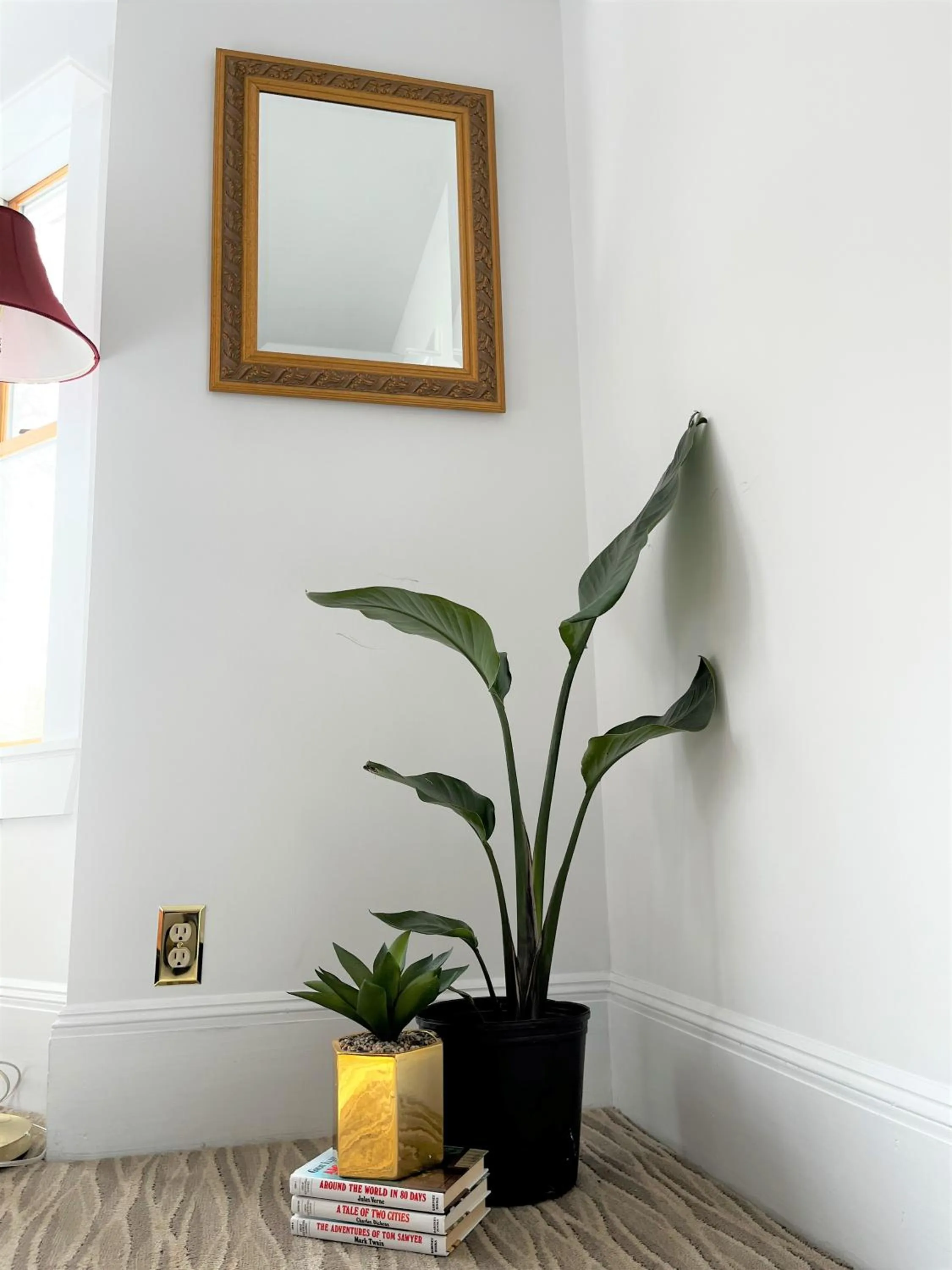 Queen Anne's Revenge