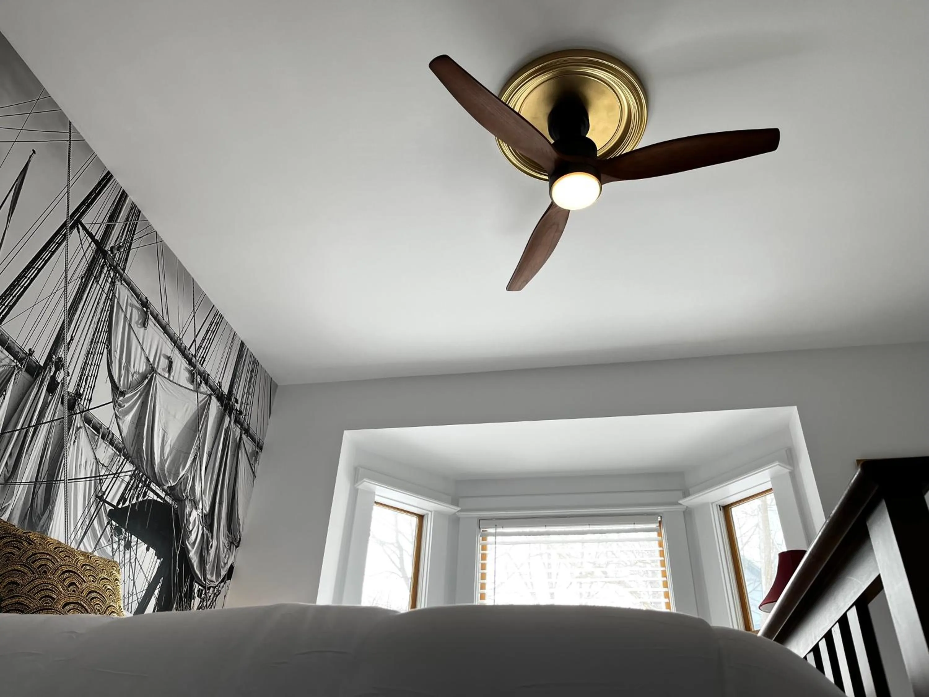 Queen Anne's Revenge