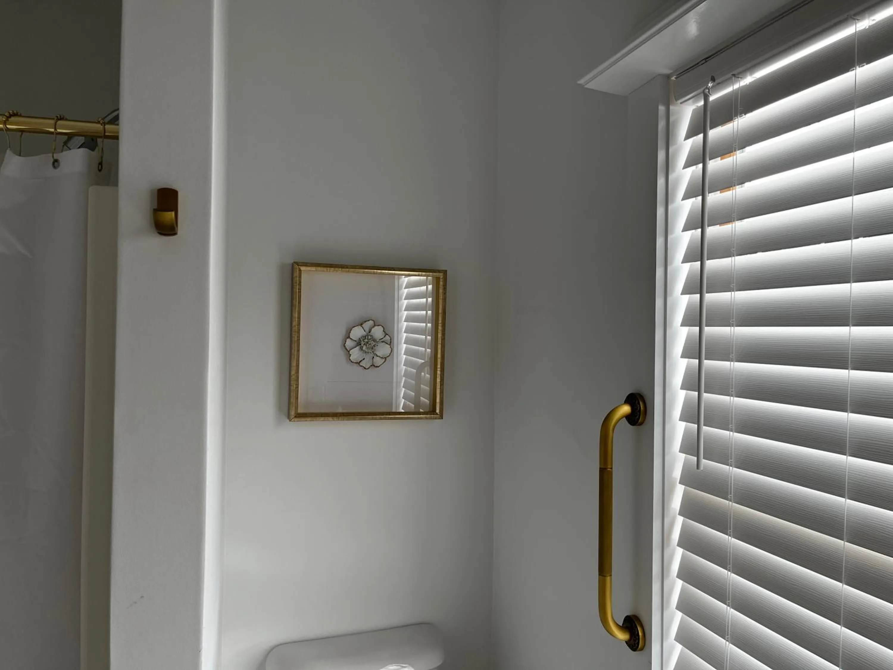 Queen Anne's Revenge