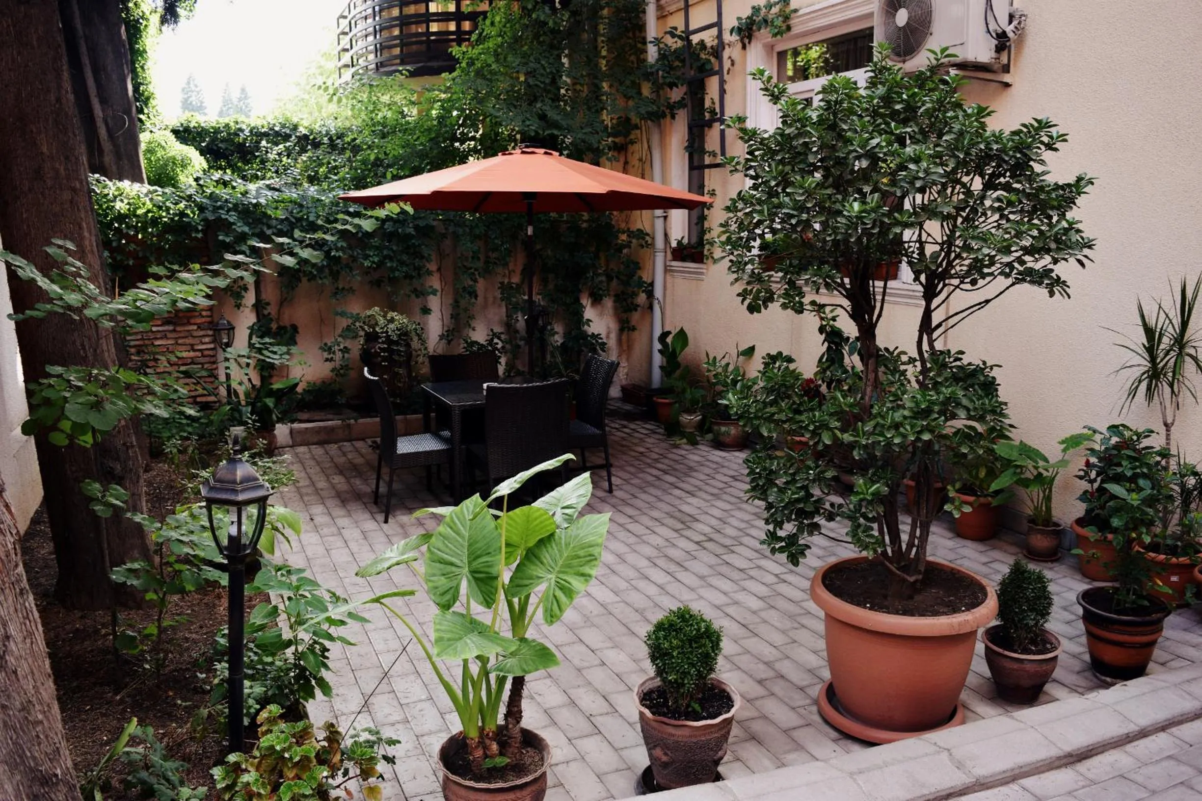 Garden in Hotel Darchi