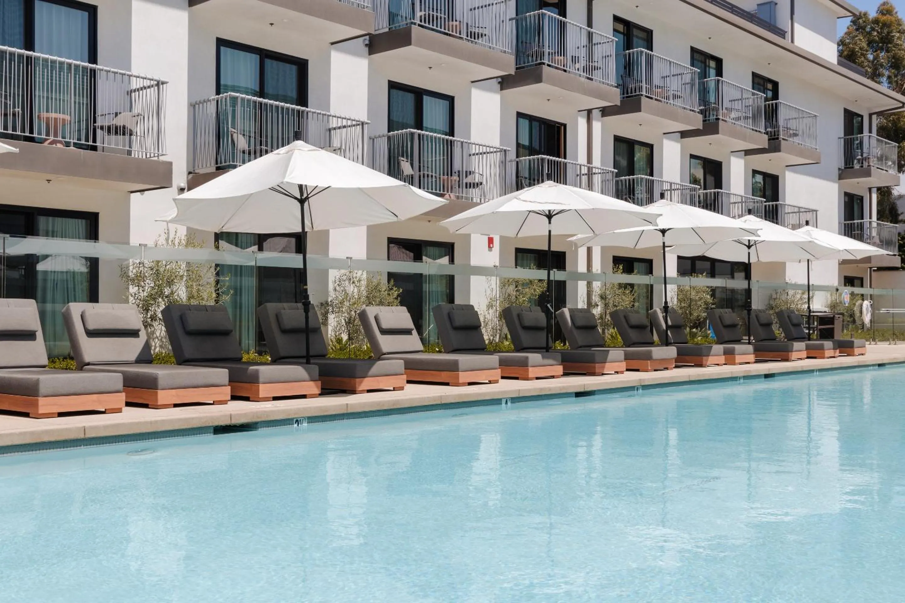 Swimming pool in The Lum Hotel Los Angeles Stadium District