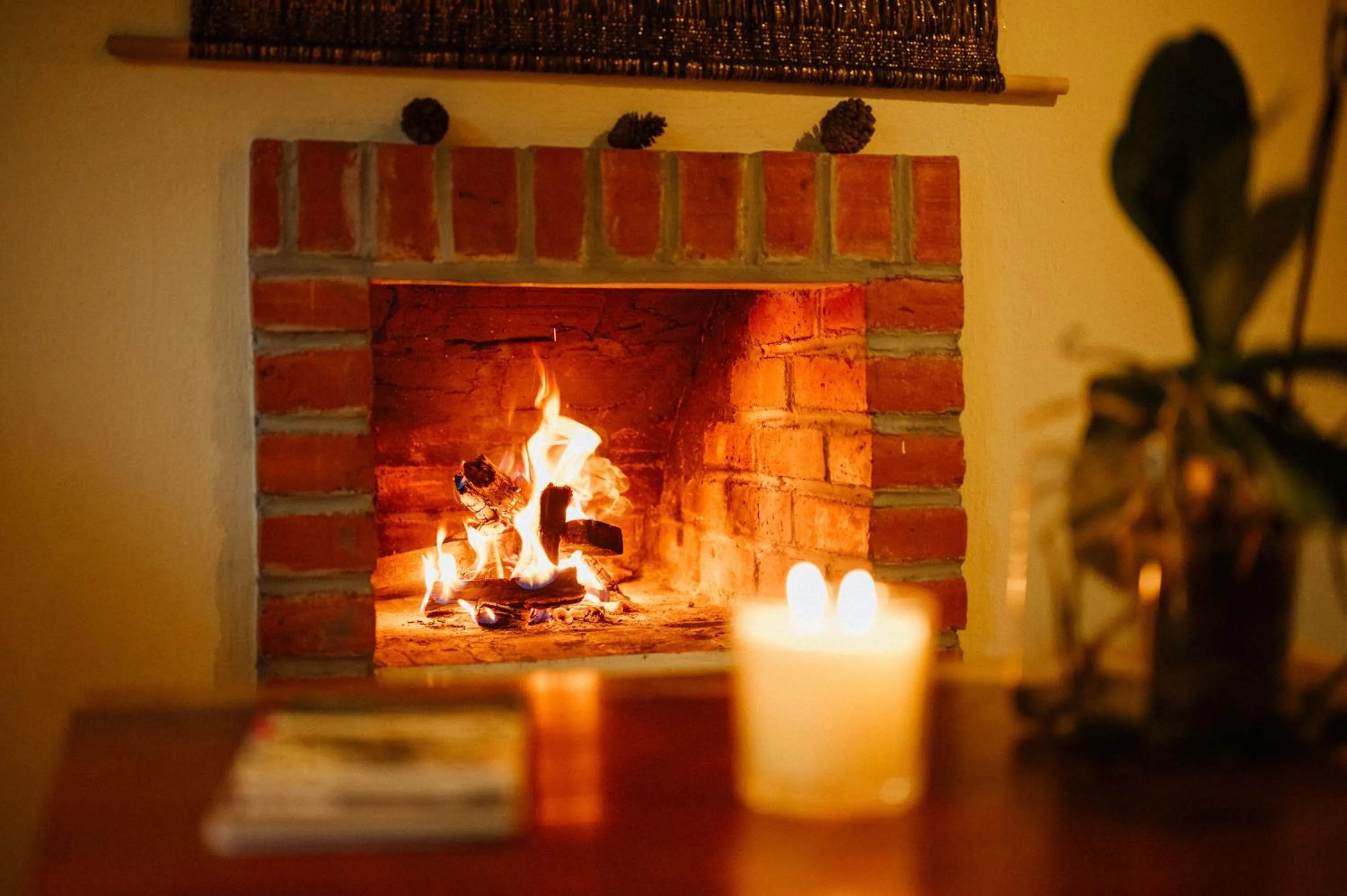 flat iron in Villas NA