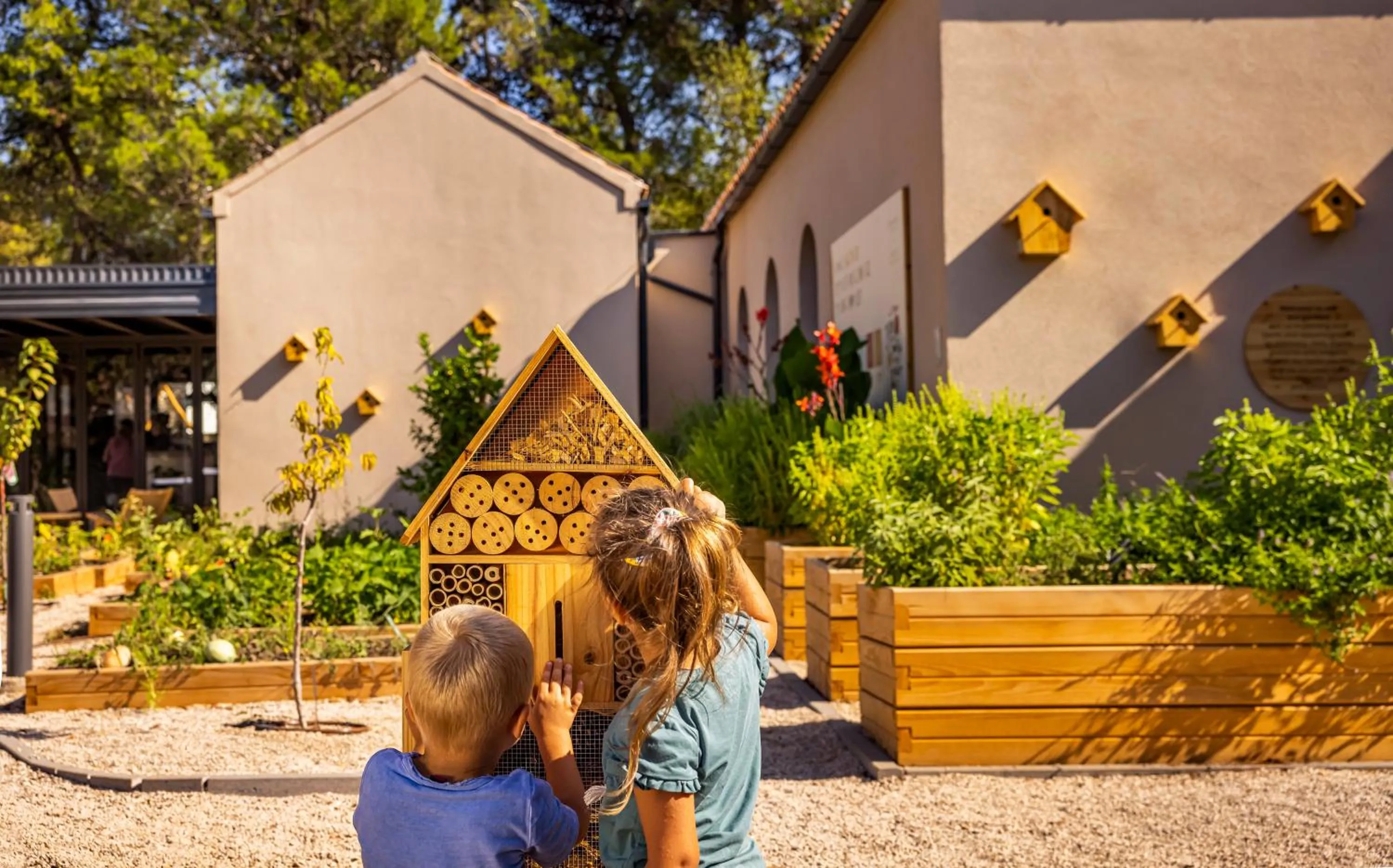 Garden in Valamar Amicor Resort