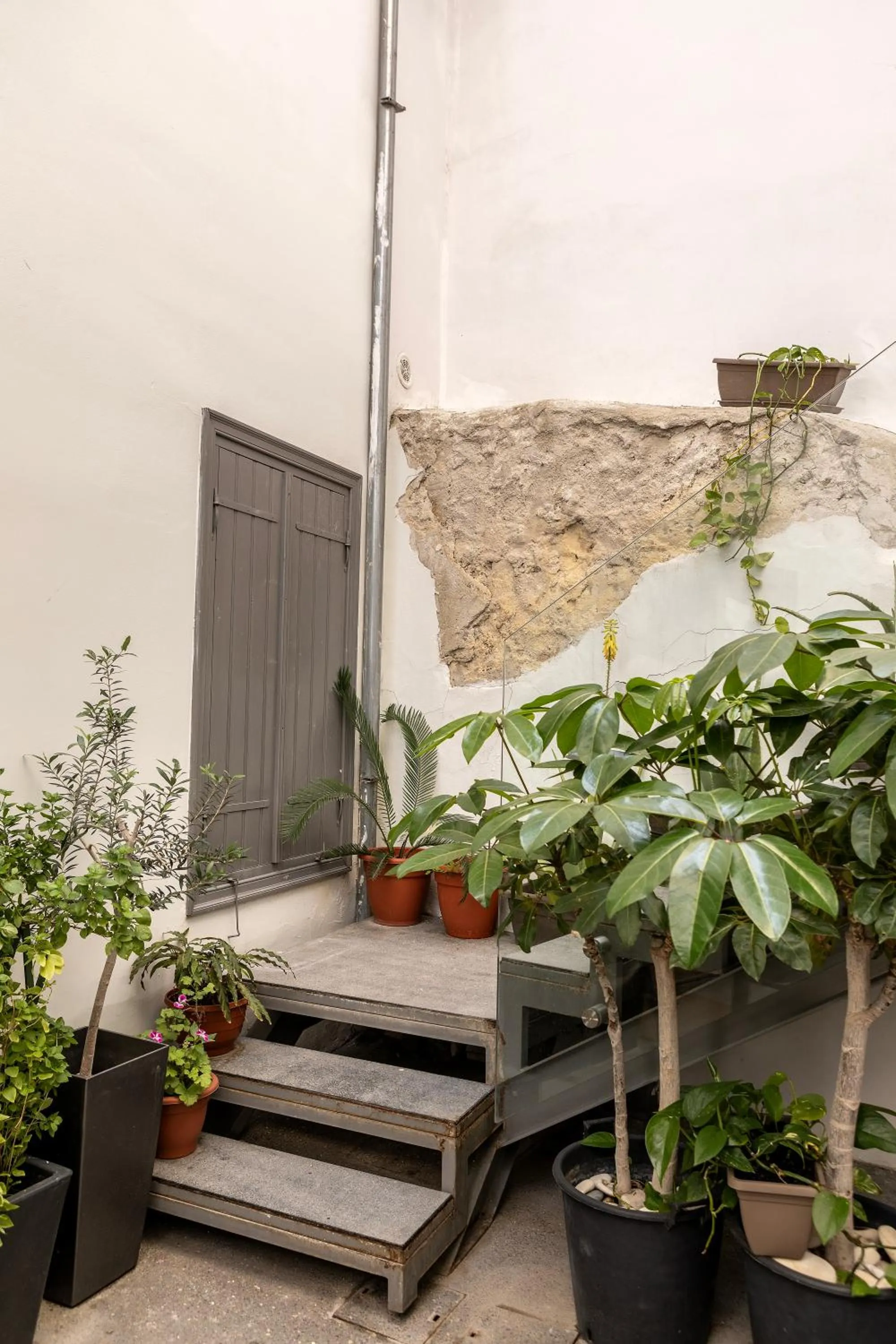 Patio in Edem Traditional House