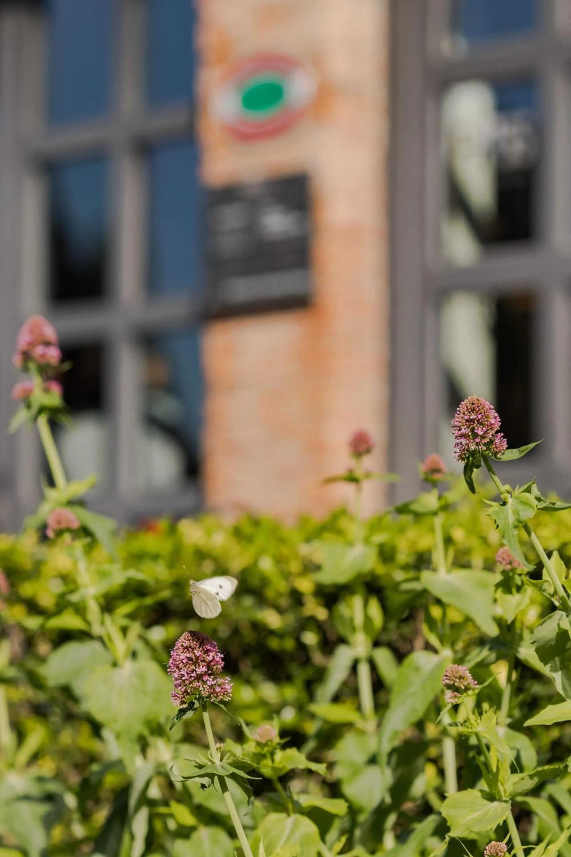 Garden in FH55 Hotel Villa Fiesole
