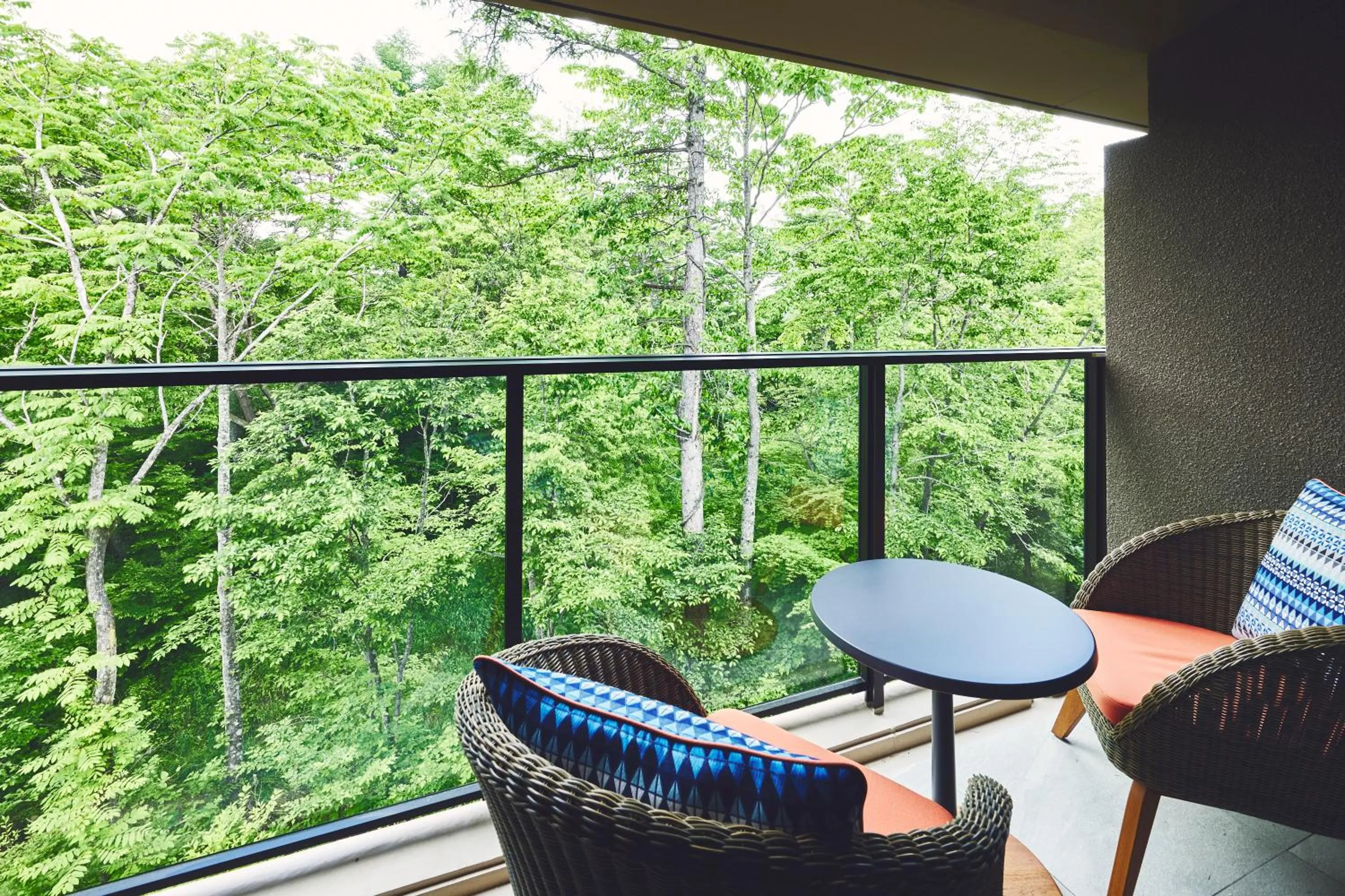 Natural landscape in Hotel Indigo Karuizawa