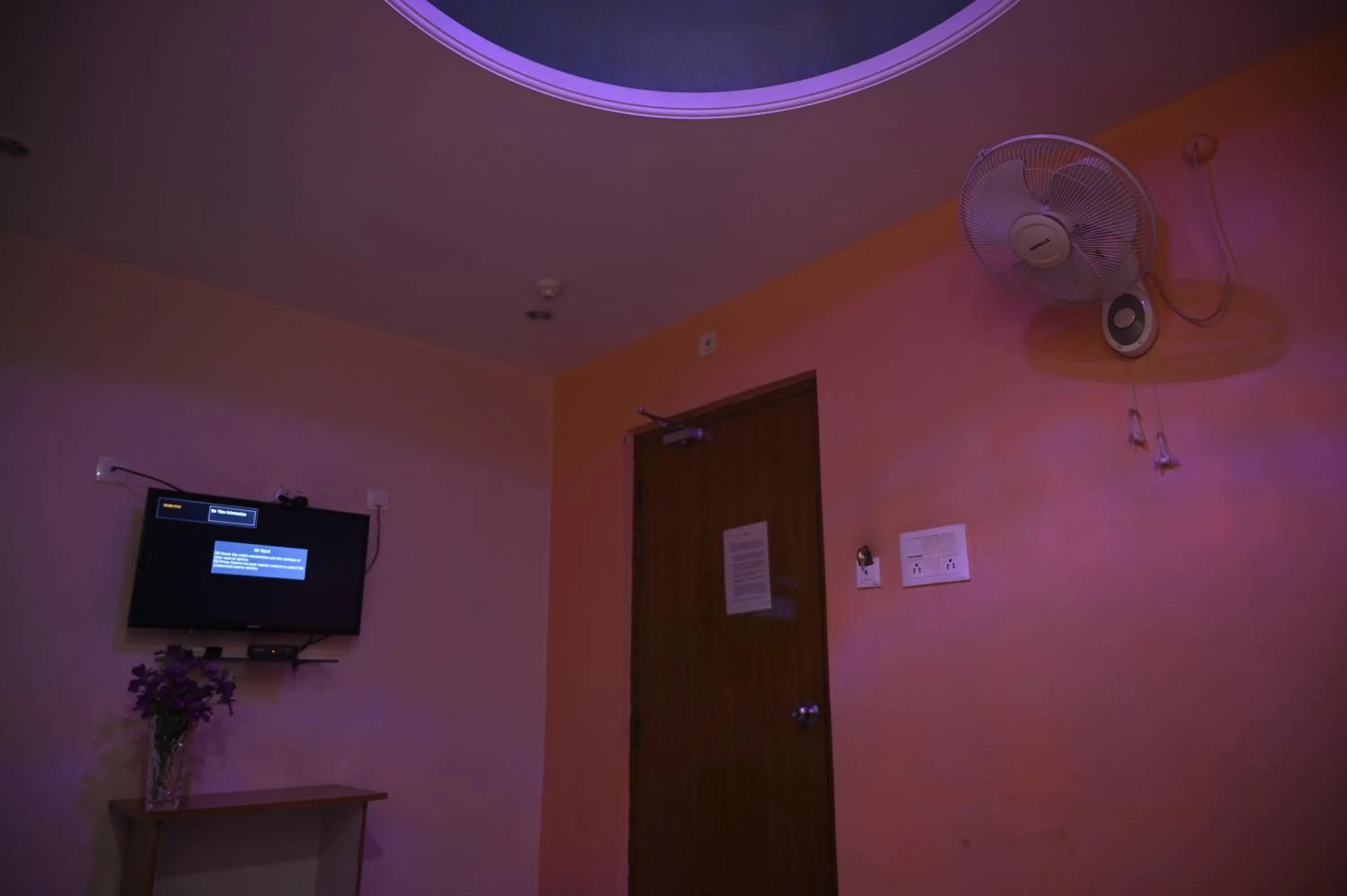 TV and multimedia in Hotel Dooars Mountain