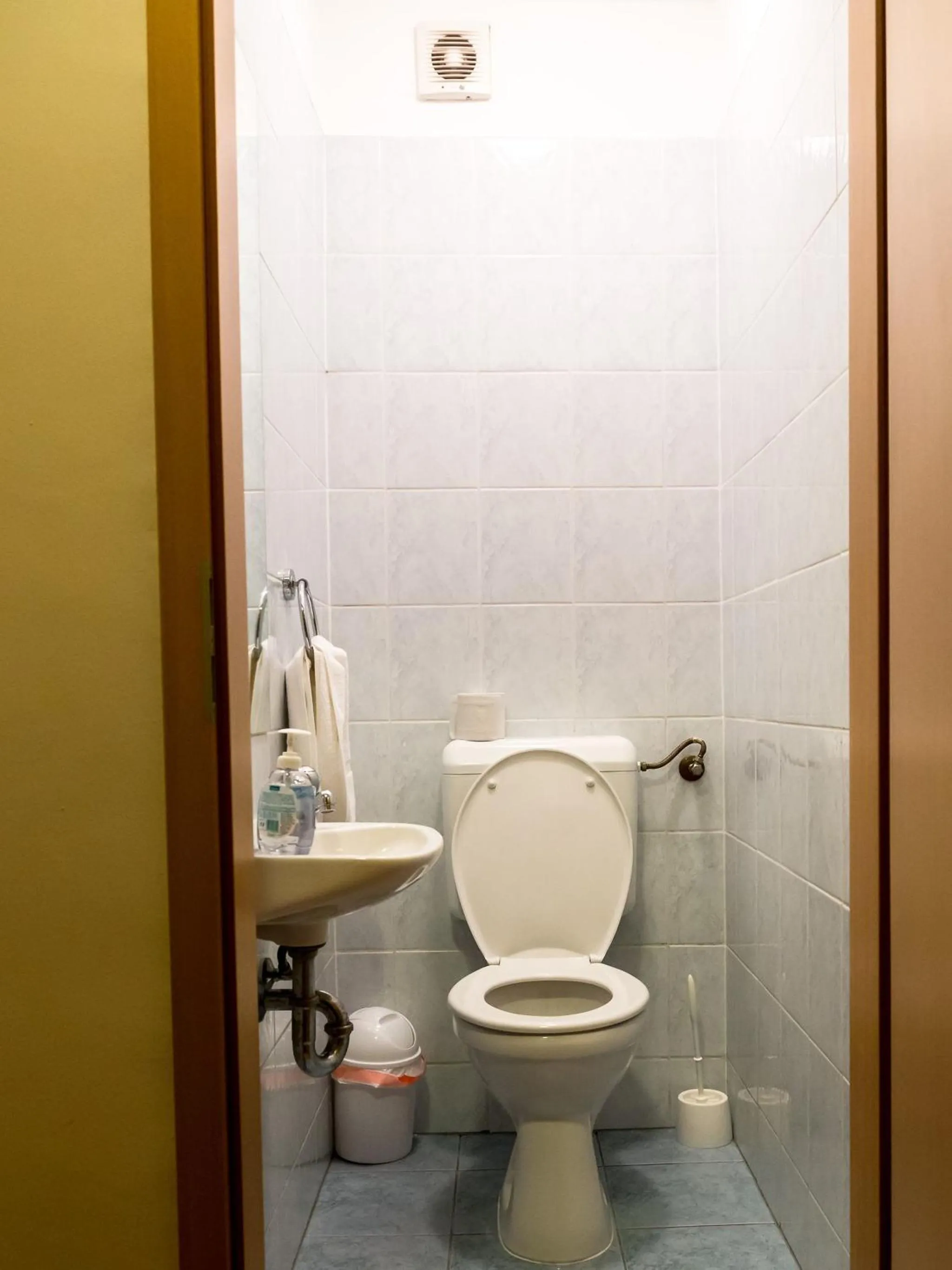 Toilet in Arpad Bridge Apartments