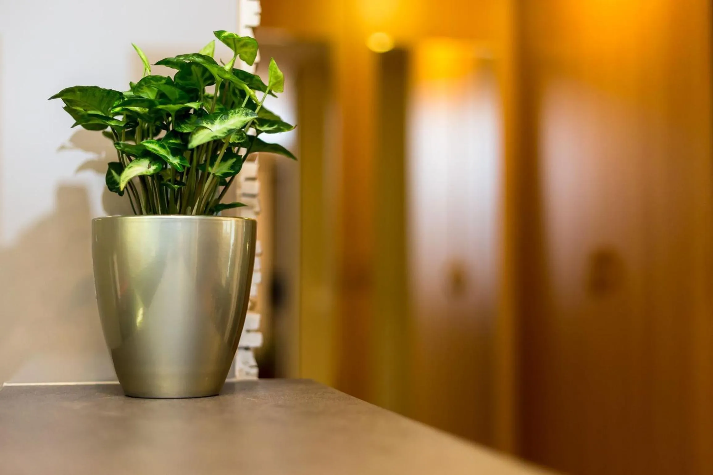 Decorative detail in Arpad Bridge Apartments