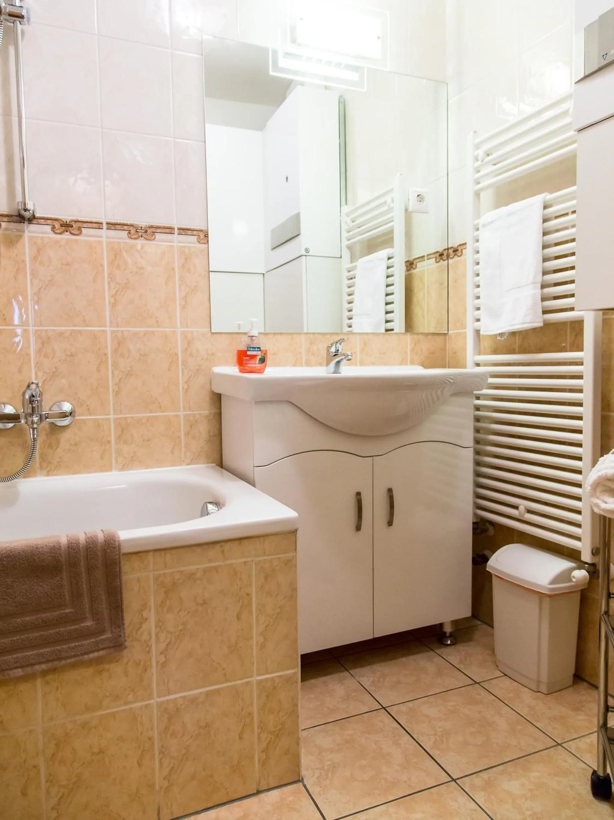 Bathroom in Arpad Bridge Apartments