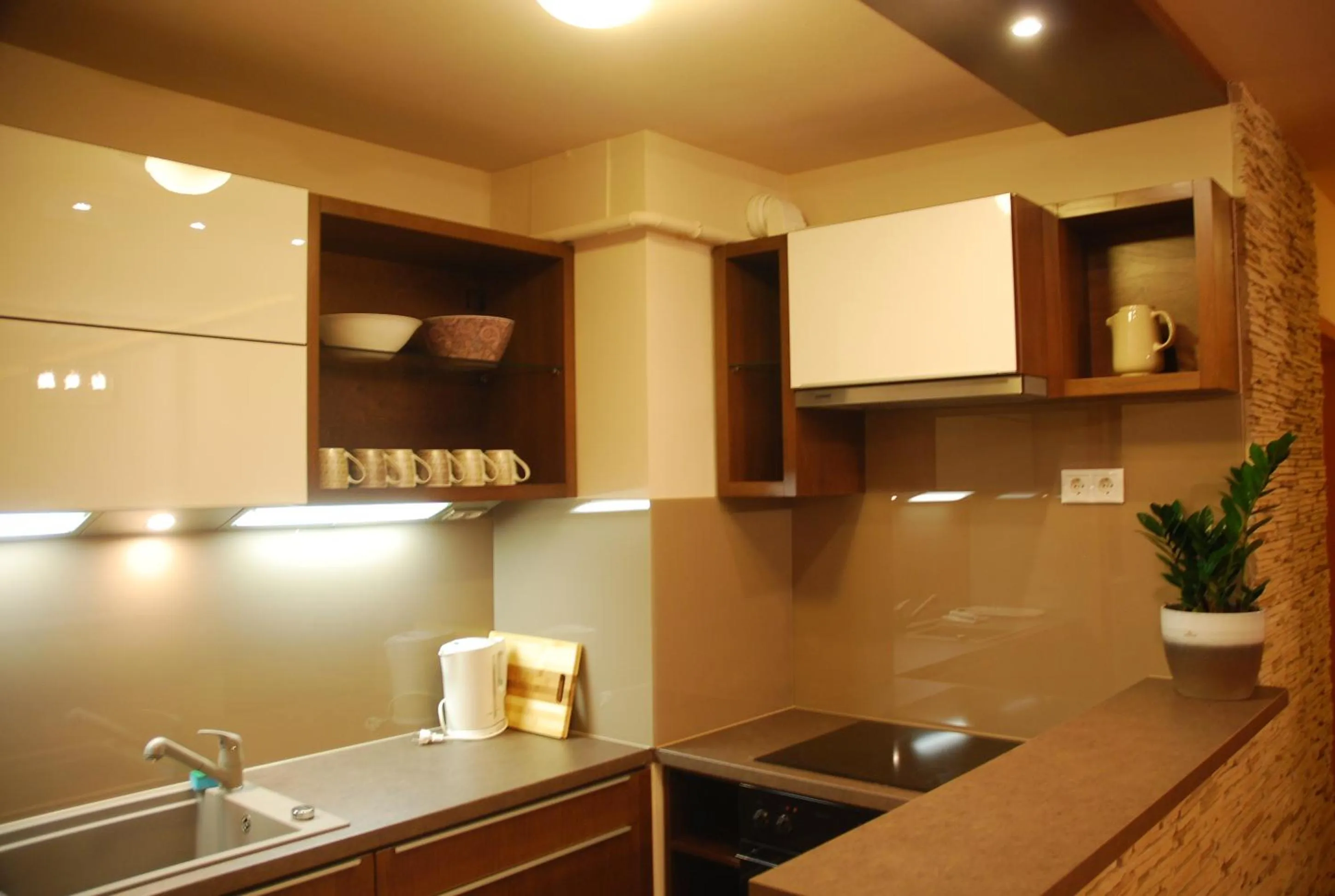 Kitchen or kitchenette in Arpad Bridge Apartments