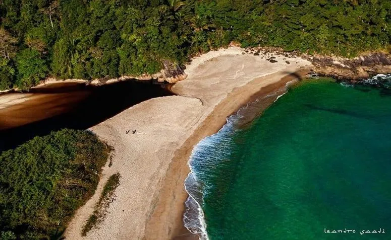 Beach in WINNER BEACH HOTEL