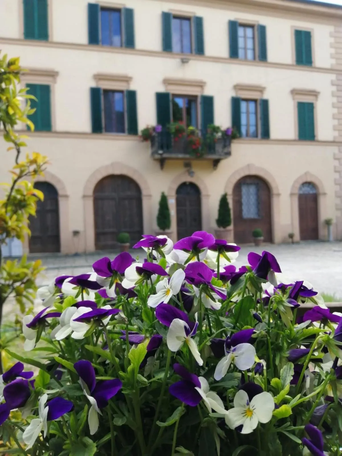 Property building in Villa Sant’Andrea