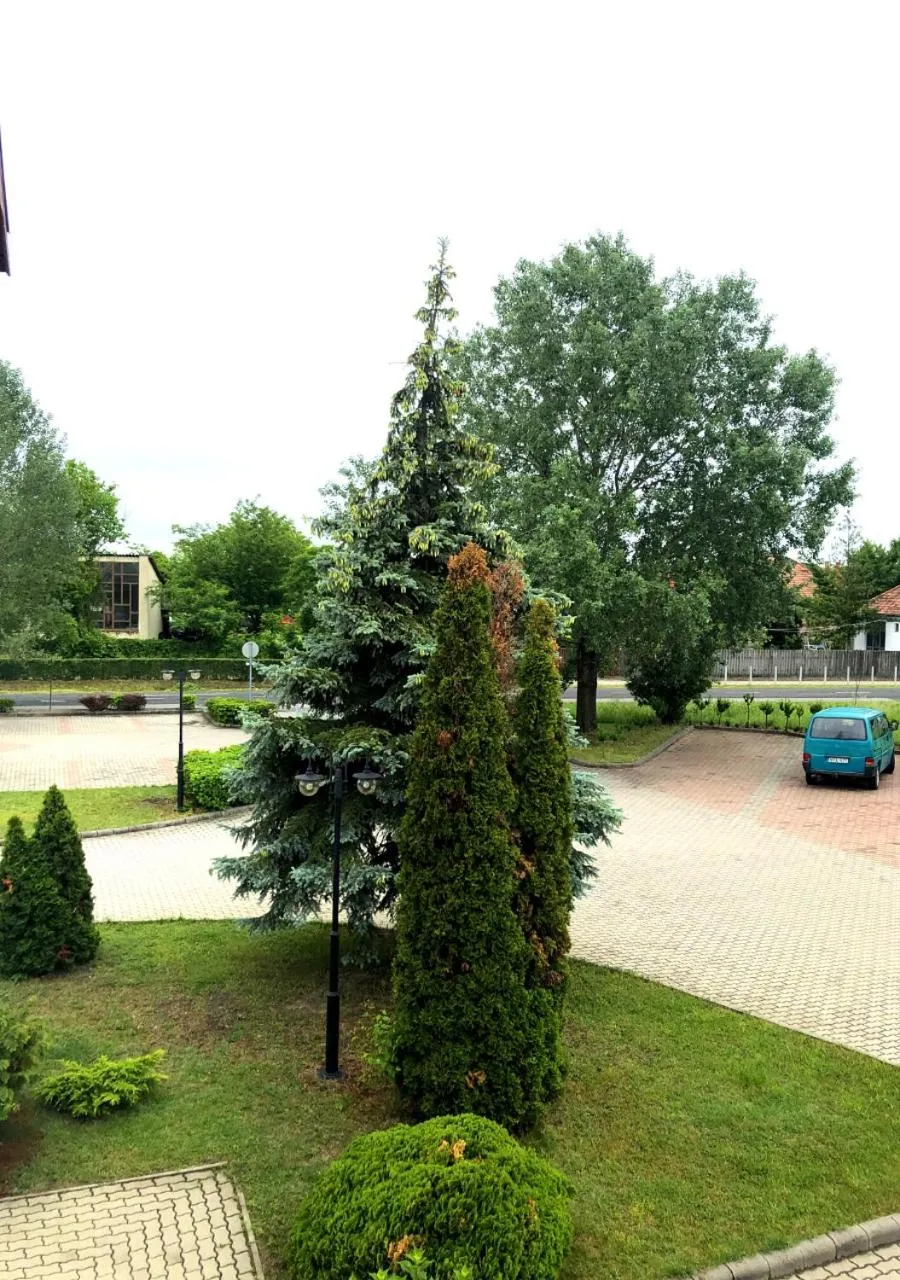 Garden view in Hotel Imperial Gyogyszallo es Gyogyfurdo