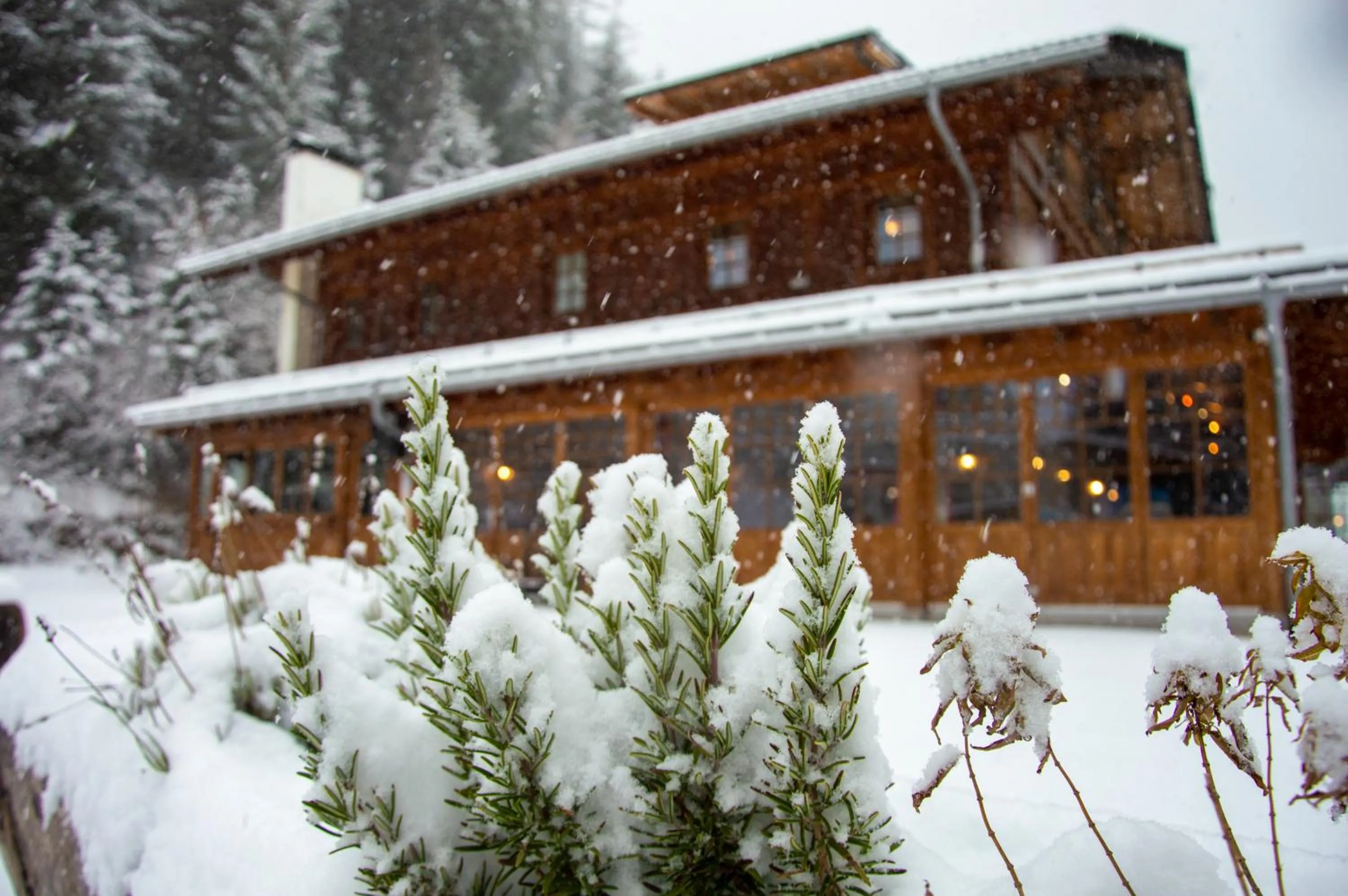 Property building in Skihotel Weiberhimmel