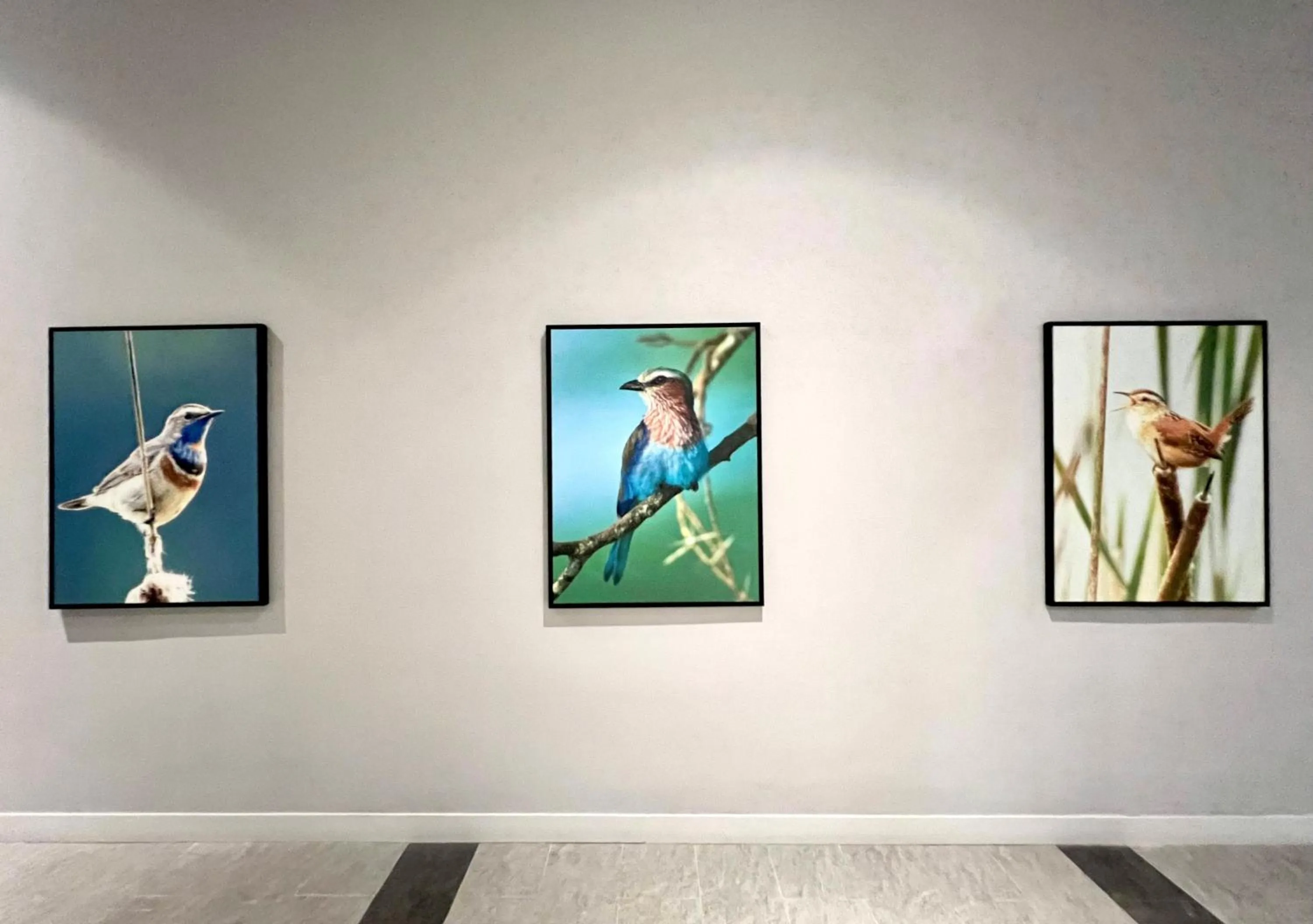 Property building in Le Vert Boutique Hotel