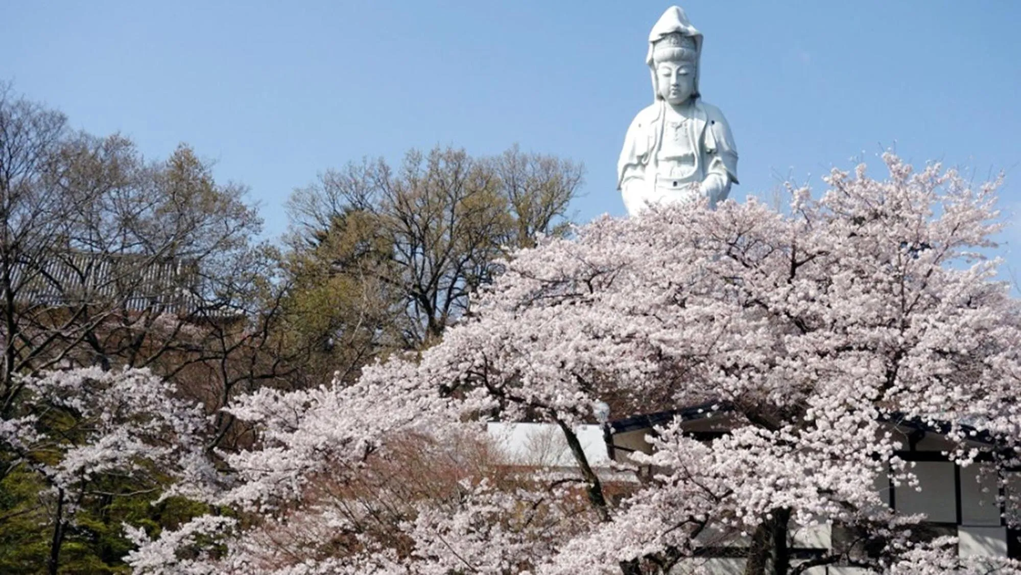 Nearby landmark in Toyoko Inn Takasaki eki Nishi guchi No 2