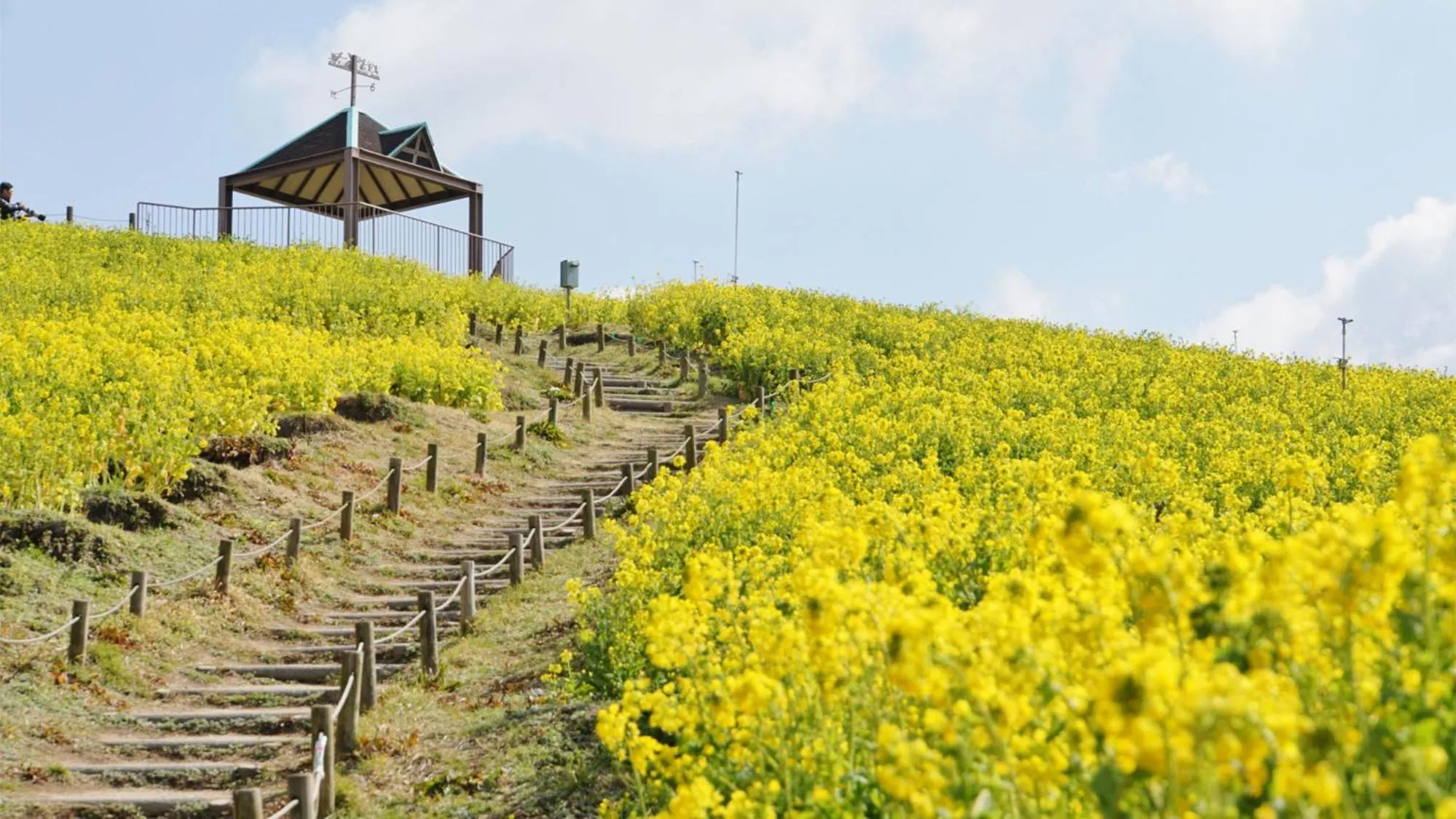 Nearby landmark in Toyoko Inn Kobe Minatogawa Koen