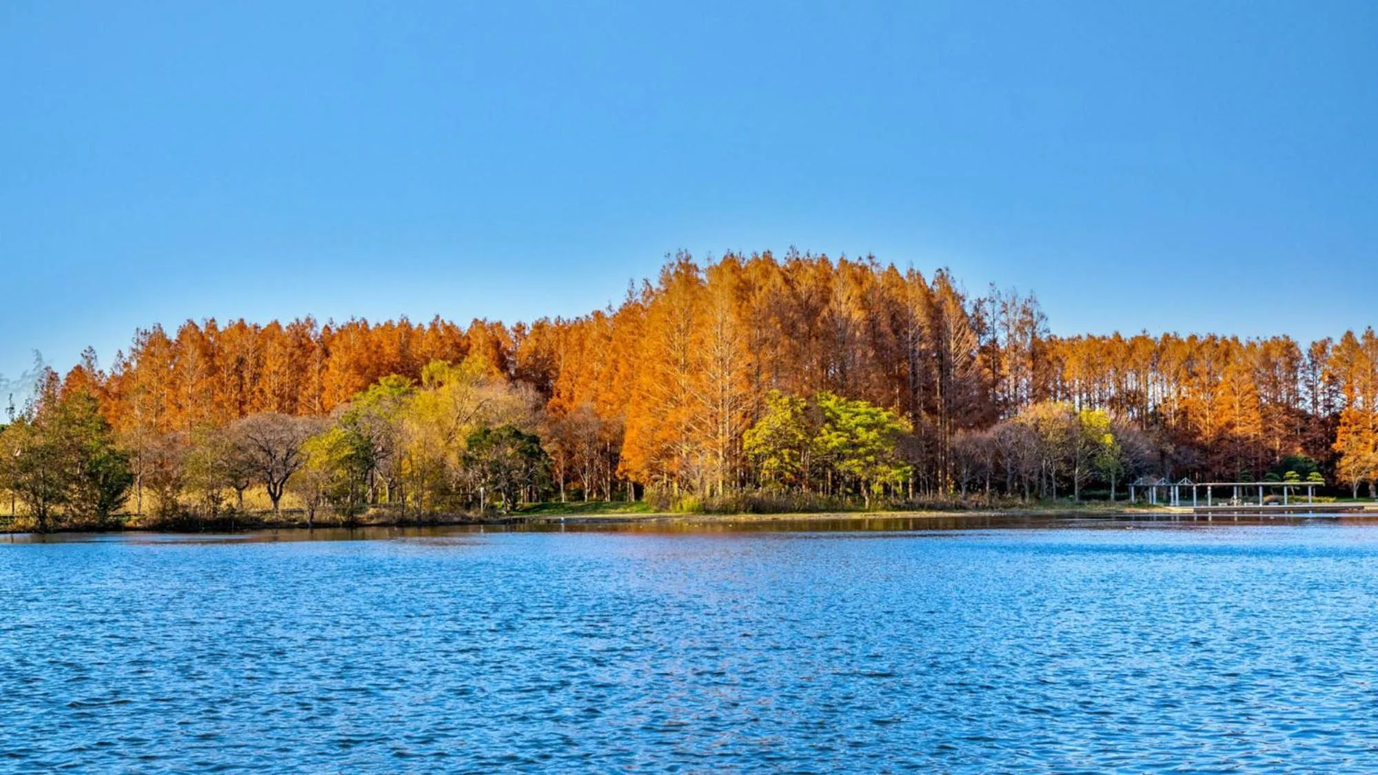 Nearby landmark in Toyoko Inn Yashio Ekimae