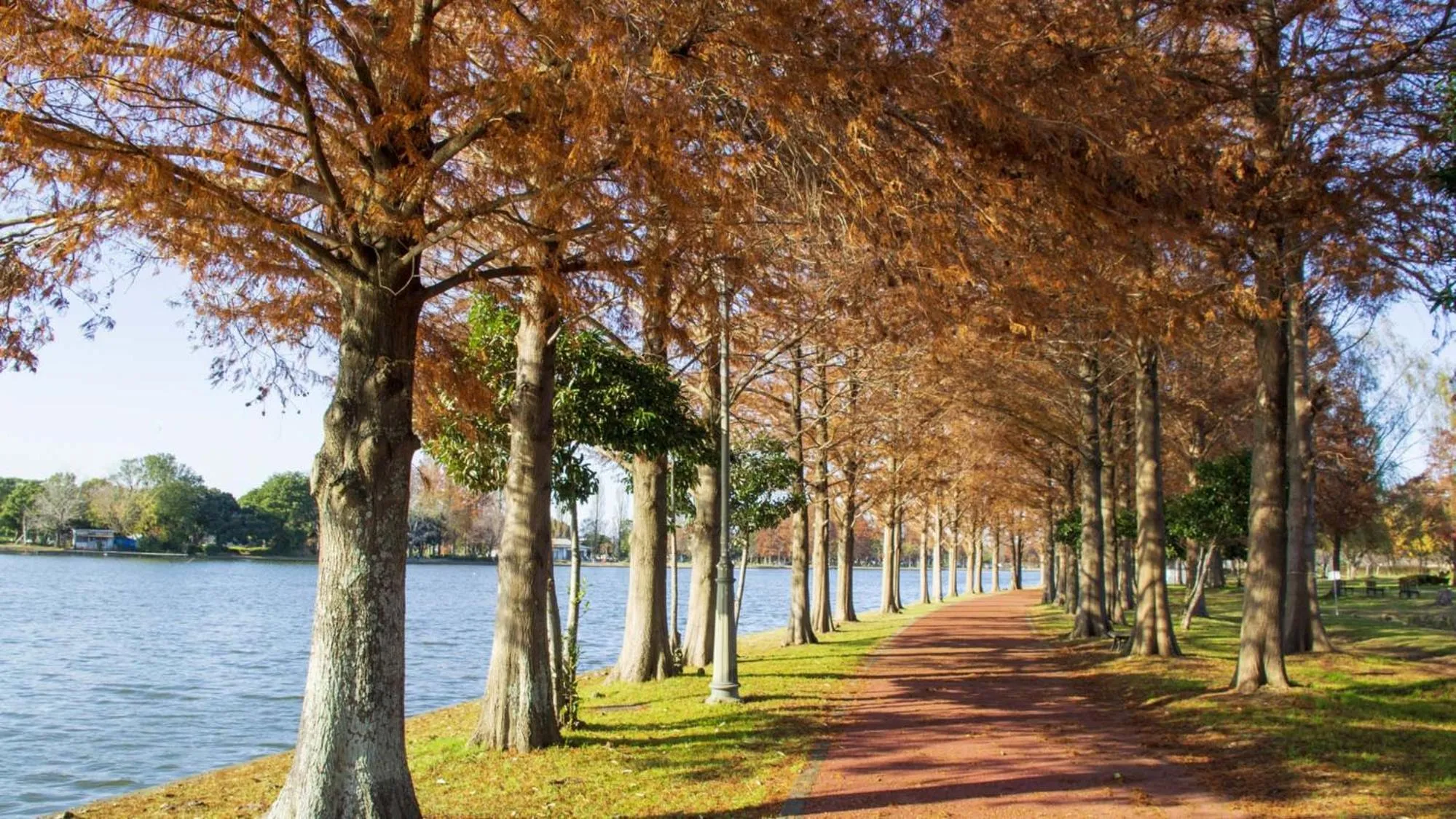 Nearby landmark in Toyoko Inn Misato-chuo Ekimae