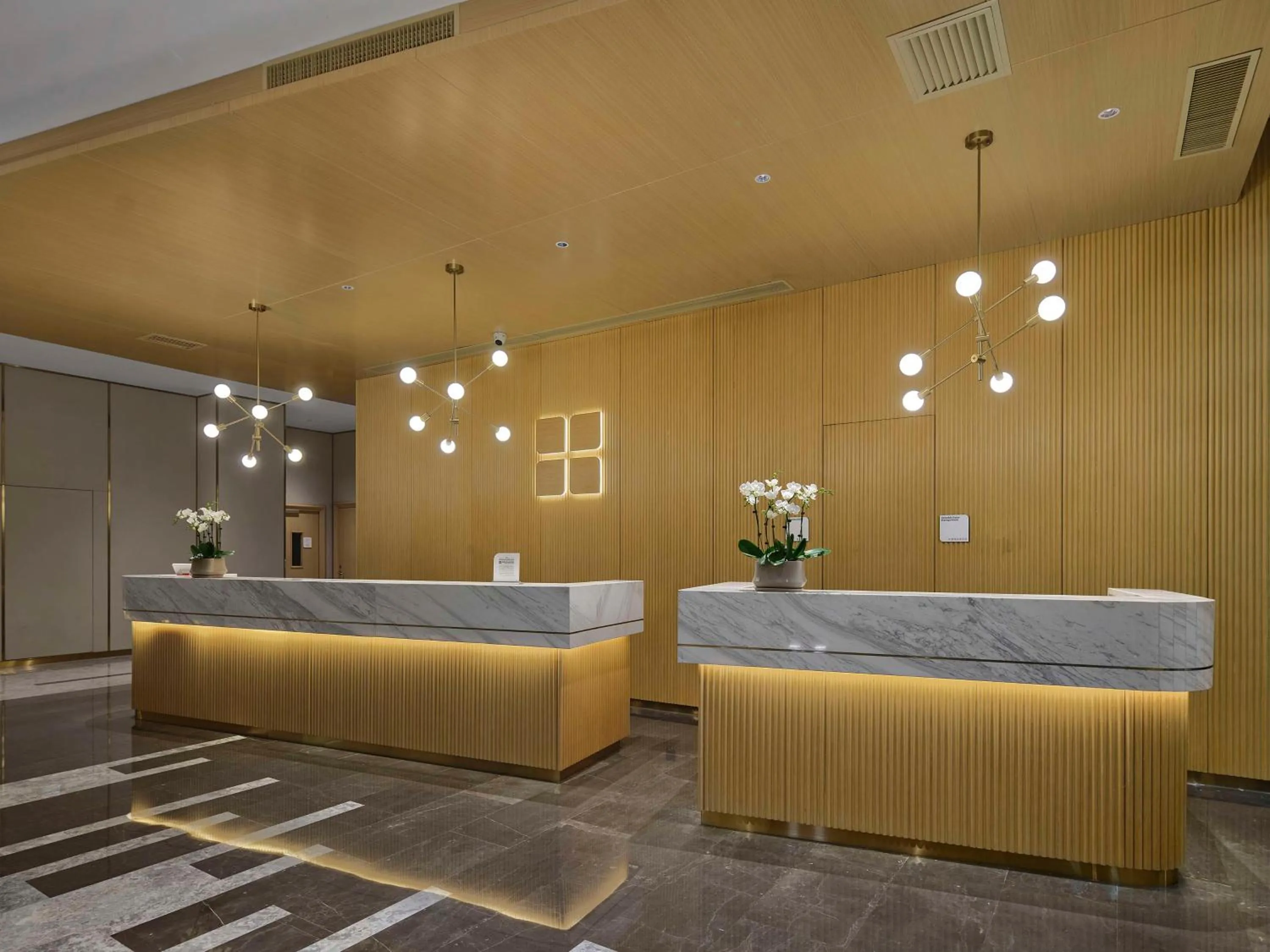 Lobby or reception in Hilton Garden Inn Tianjin Huayuan